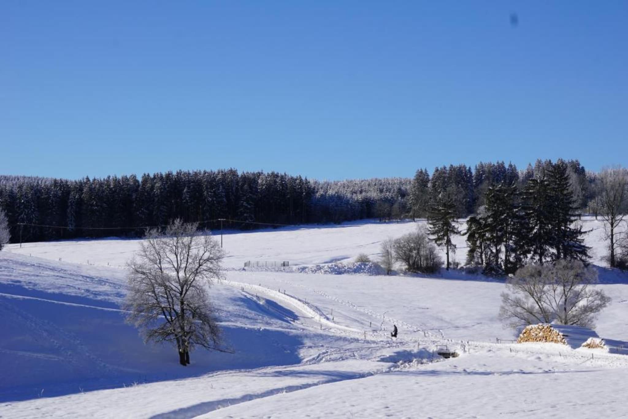 Ferienhaus im Thüringer Wald-Gebiet Winter 5 km