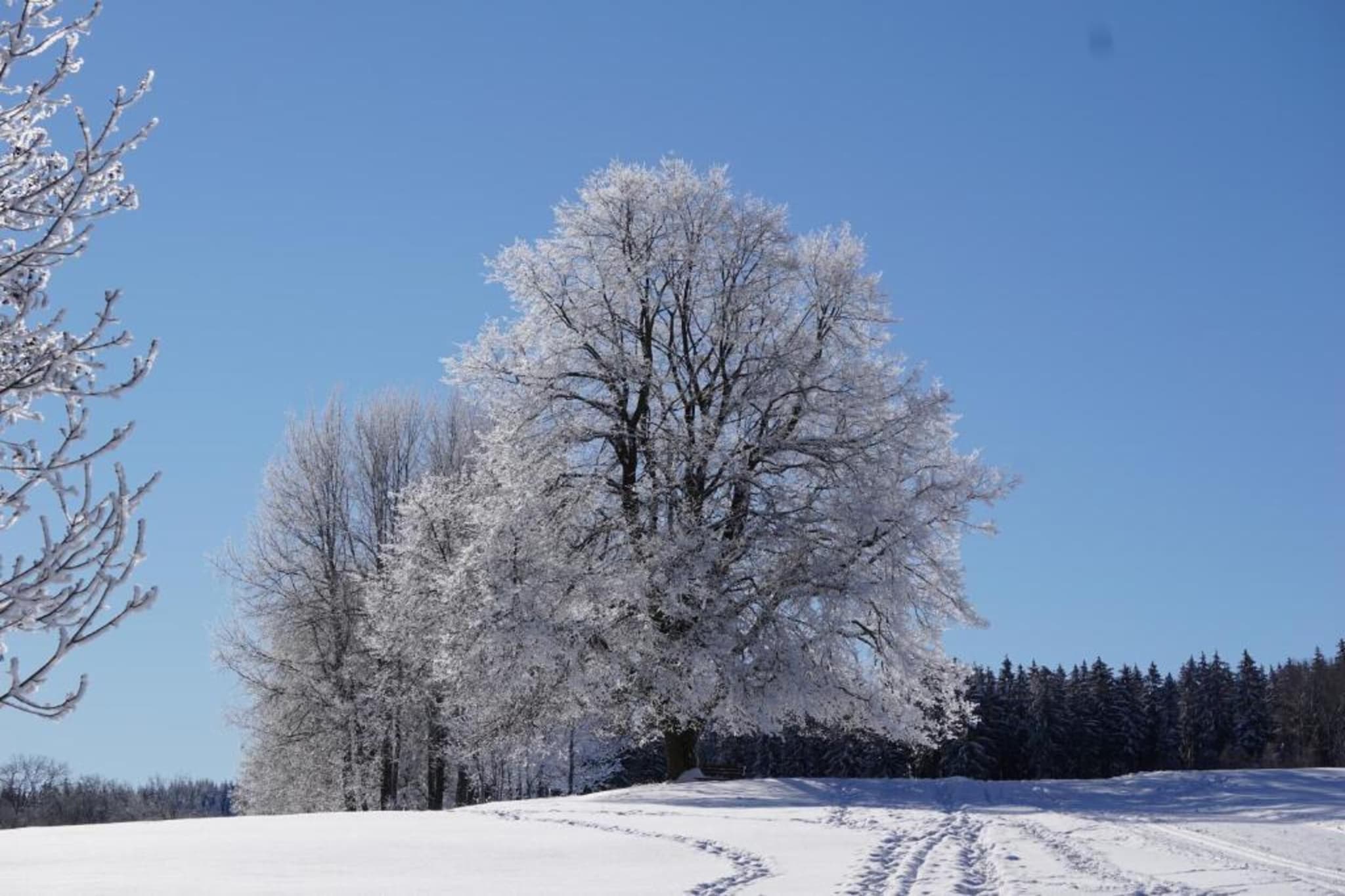Ferienhaus im Thüringer Wald-Gebiet Winter 5 km