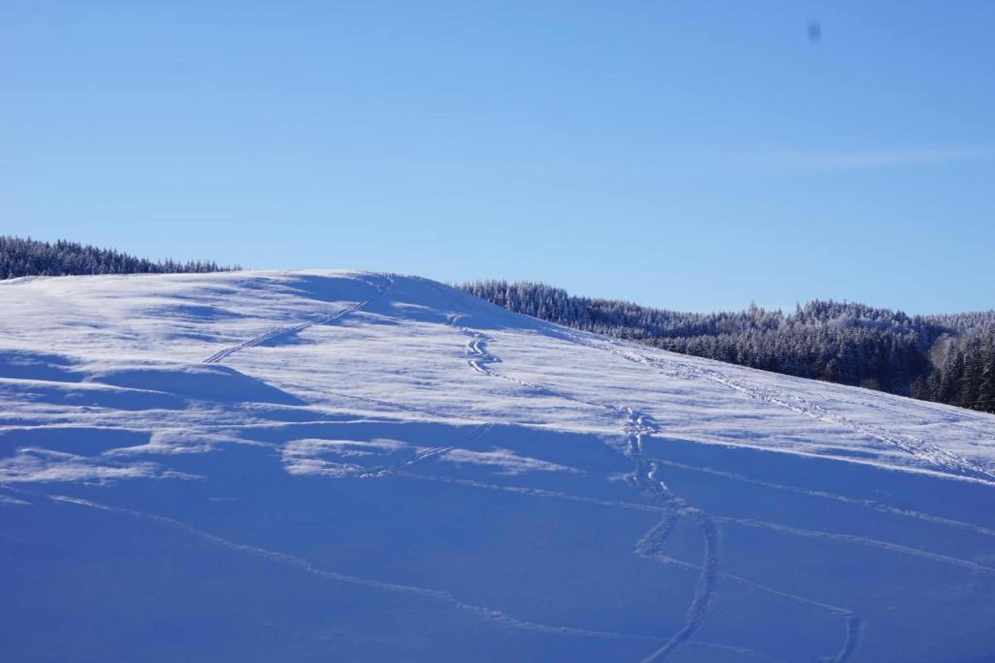 Ferienhaus im Thüringer Wald-Gebiet Winter 5 km