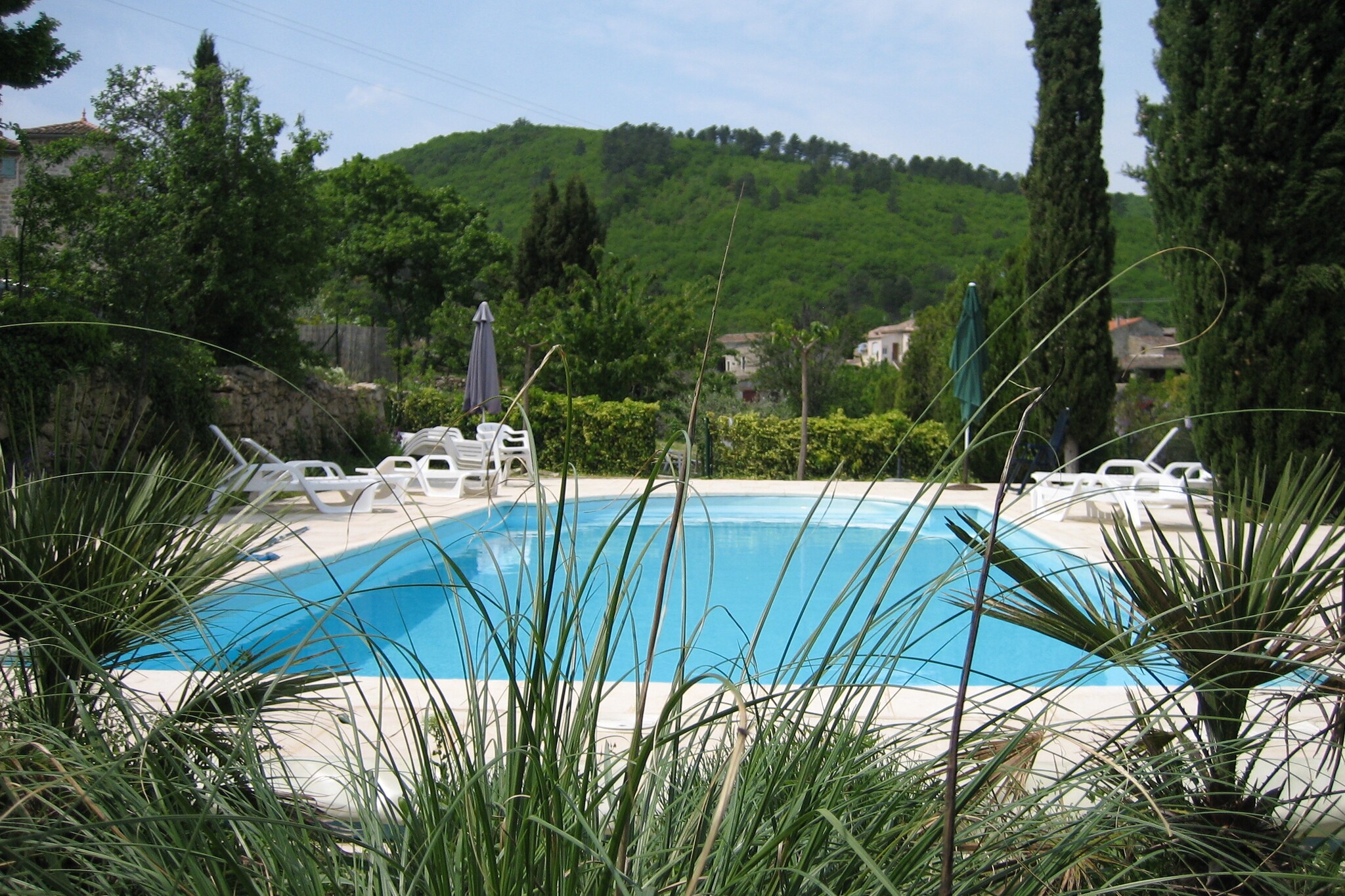 Pool Of House