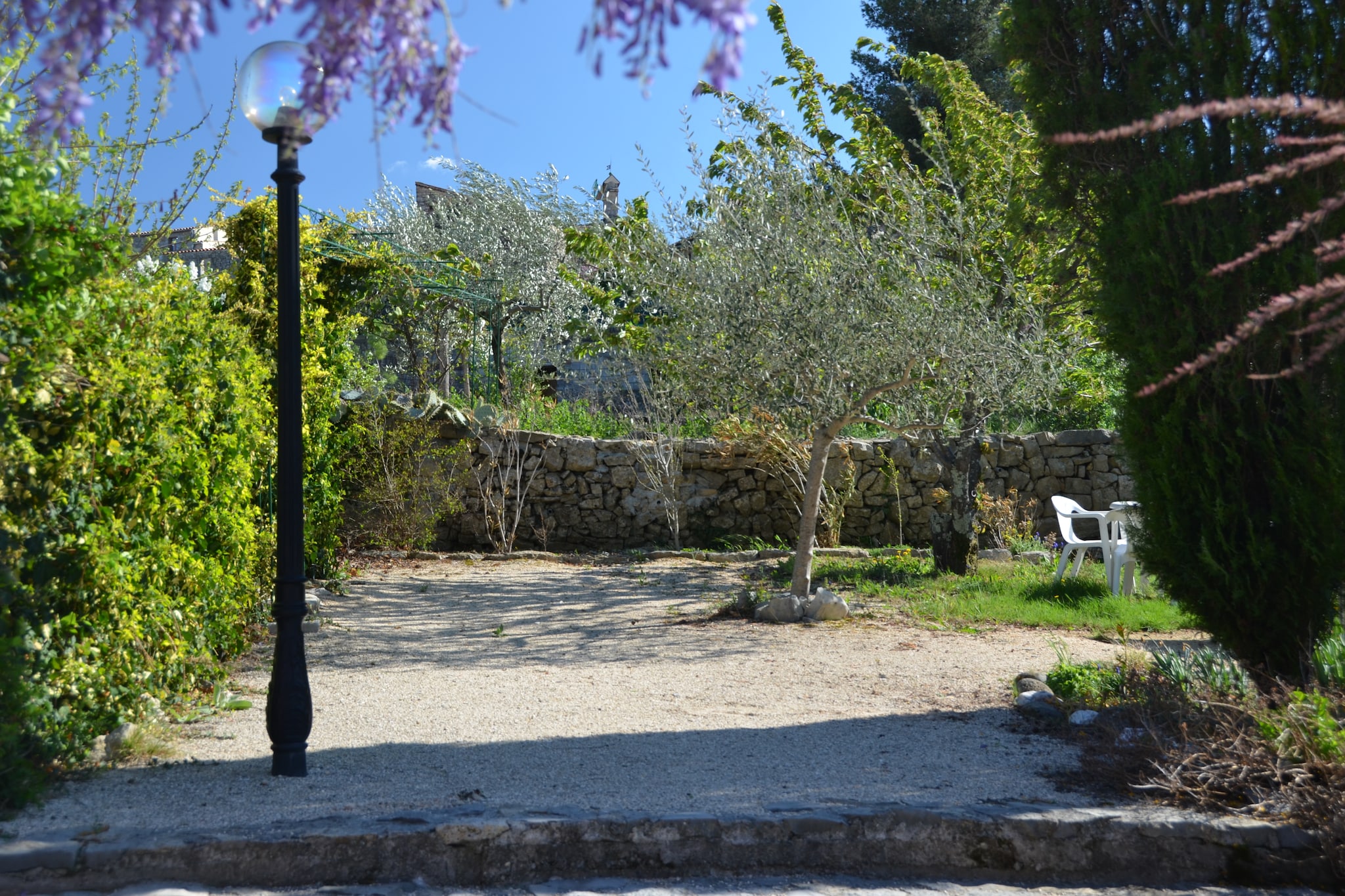 Garden Summer
