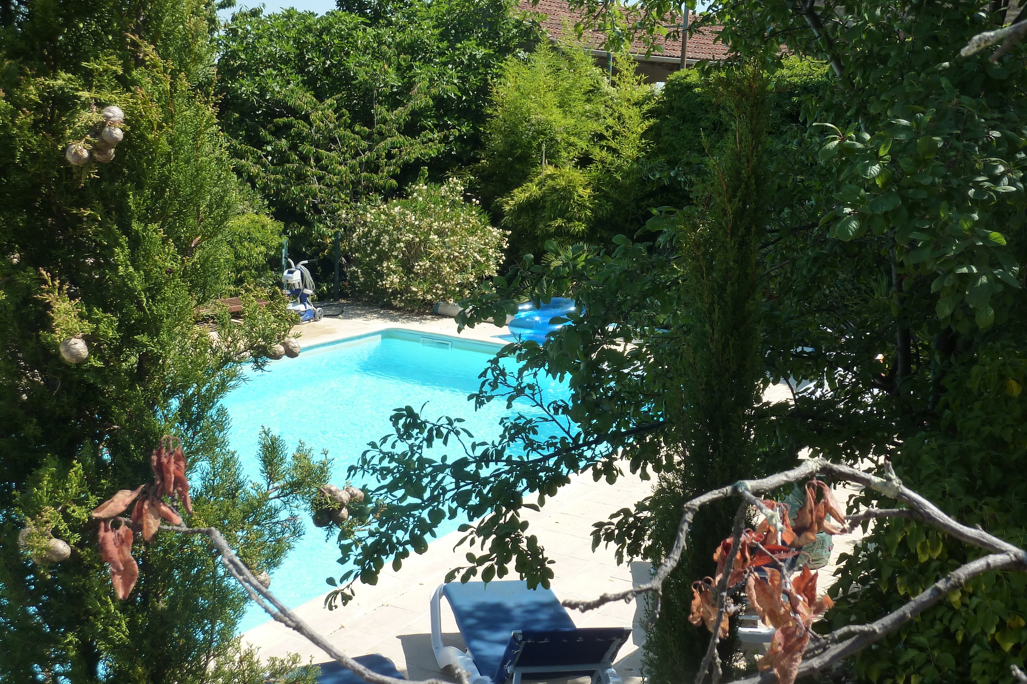 Garden Summer