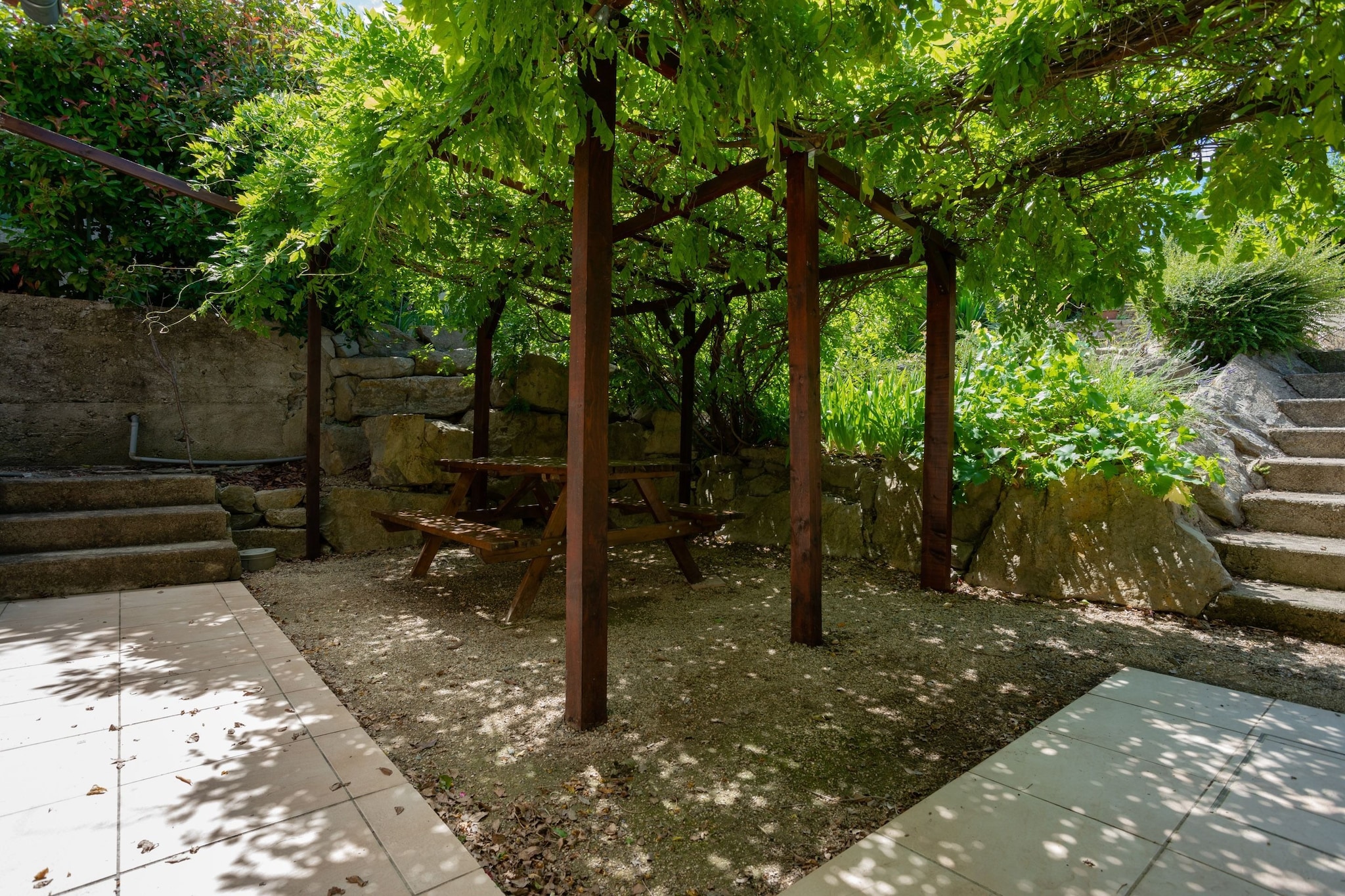 Garden Summer