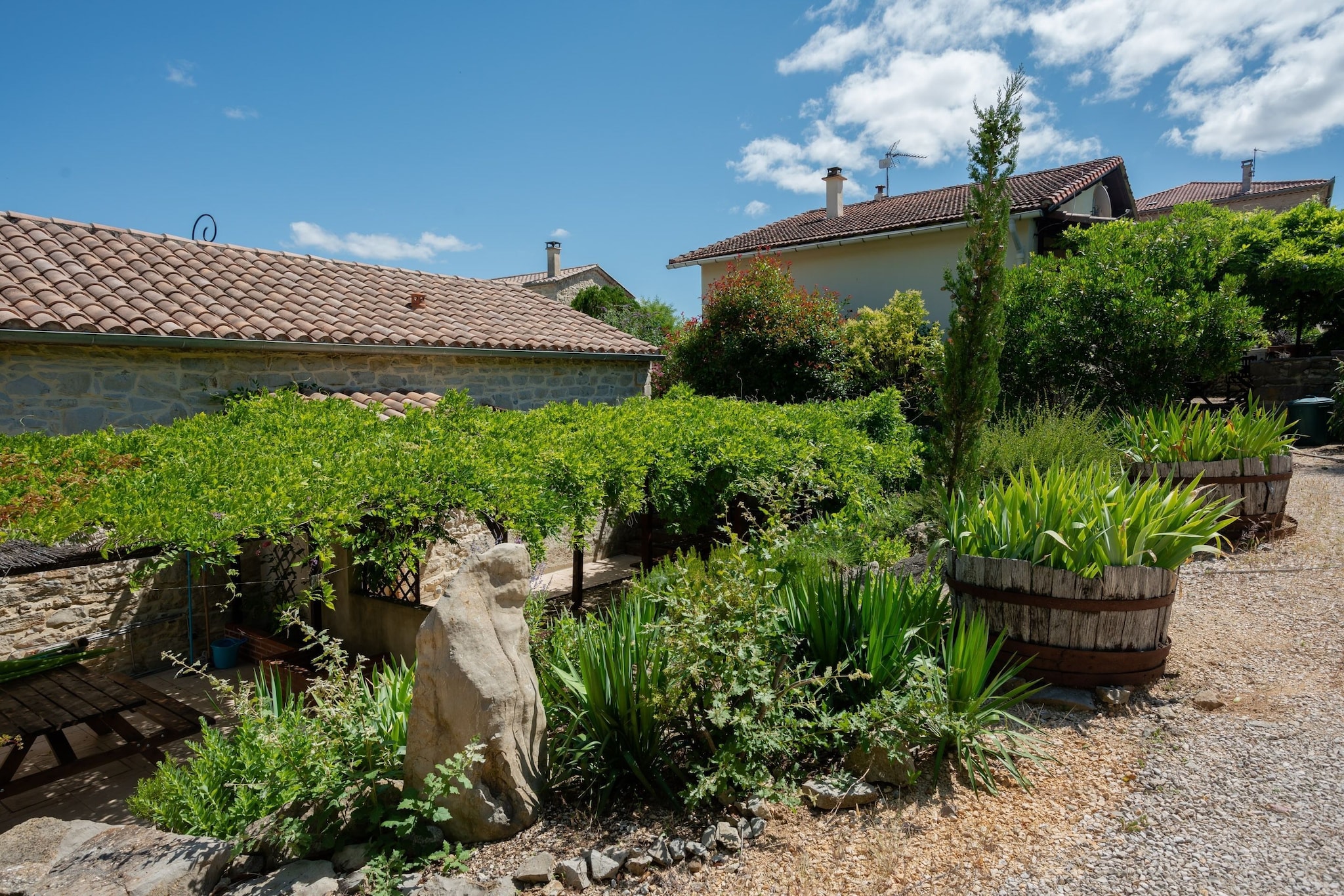 Garden Summer