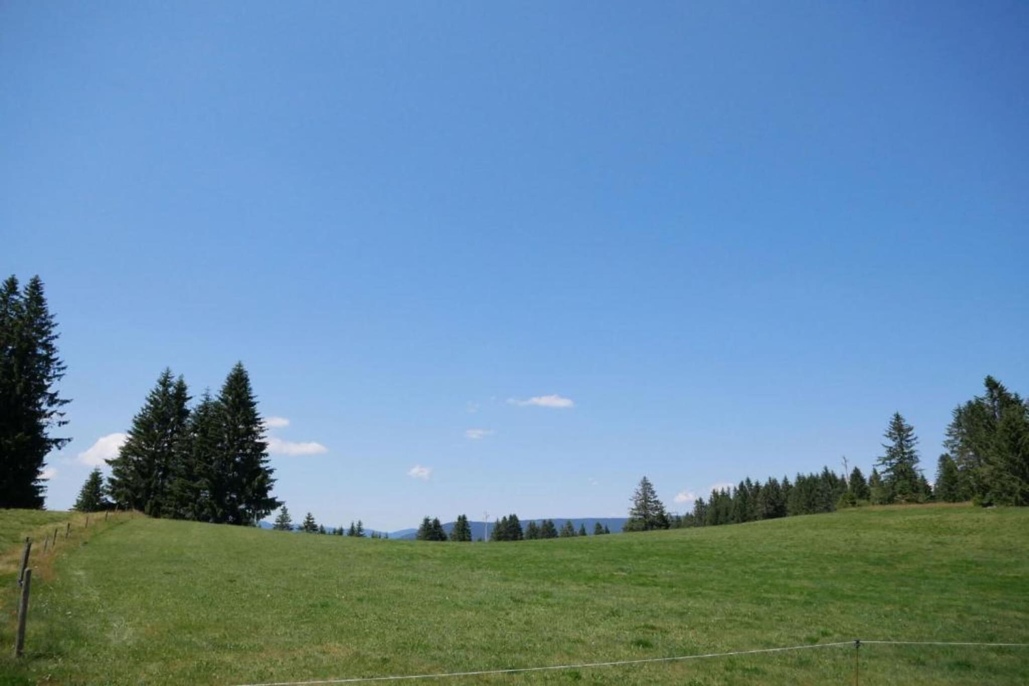 Schwarzwaldhaus Pferdeklause-Gebieden zomer 20km
