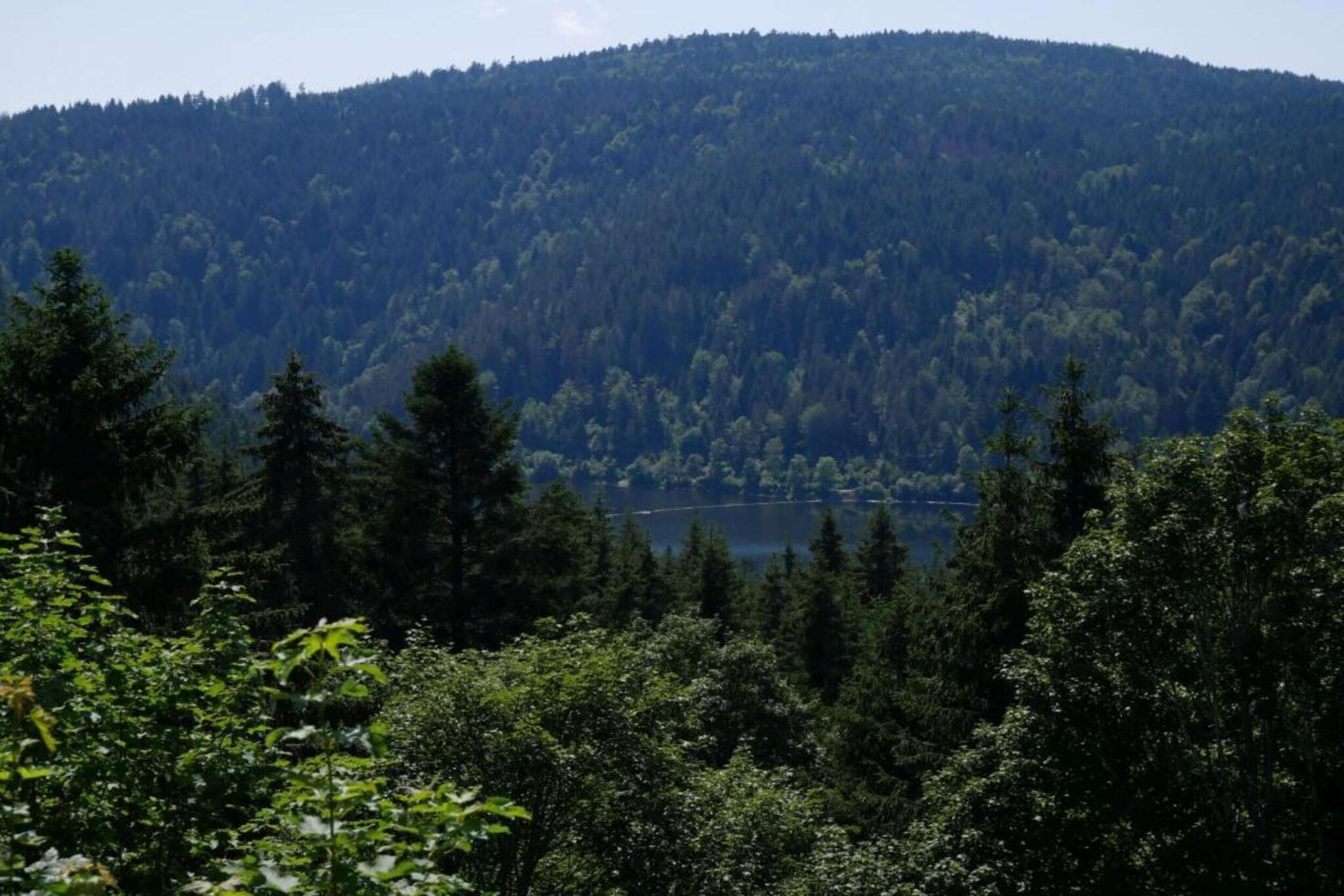 Schwarzwaldhaus Pferdeklause-Gebieden zomer 20km