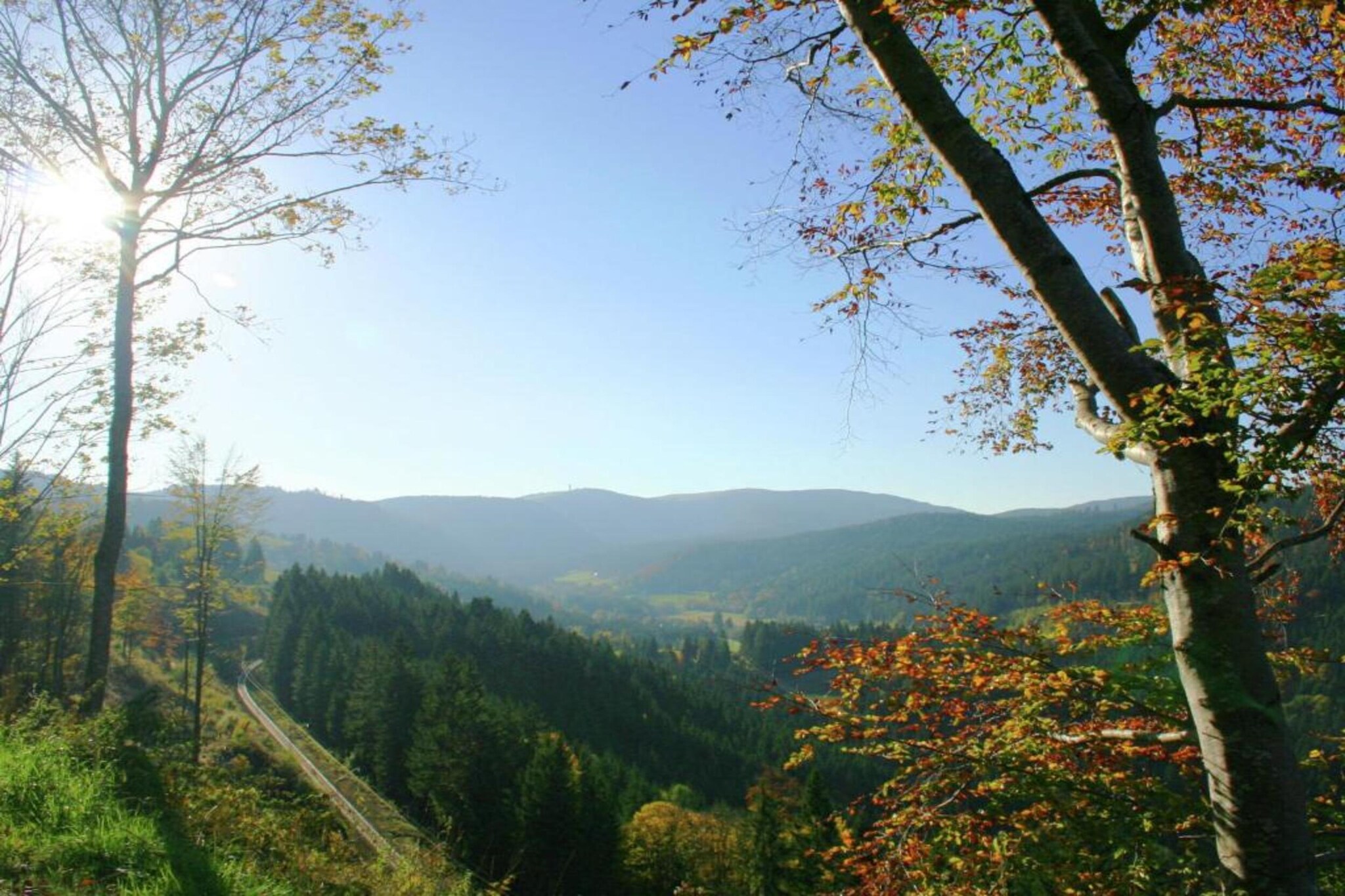 Schwarzwaldhaus Pferdeklause-Gebieden zomer 20km