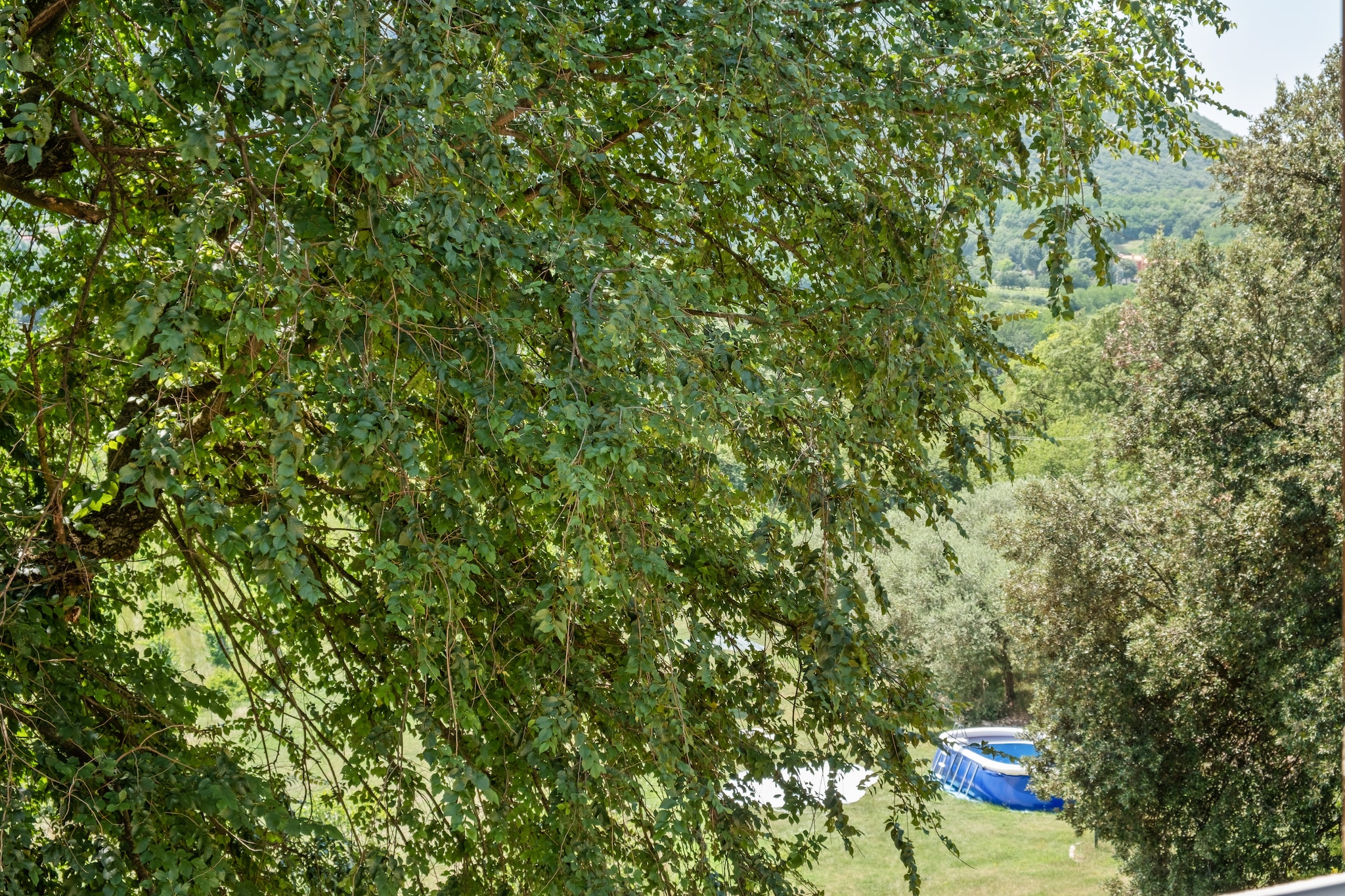 Monte Sereo-Aussicht Sommer