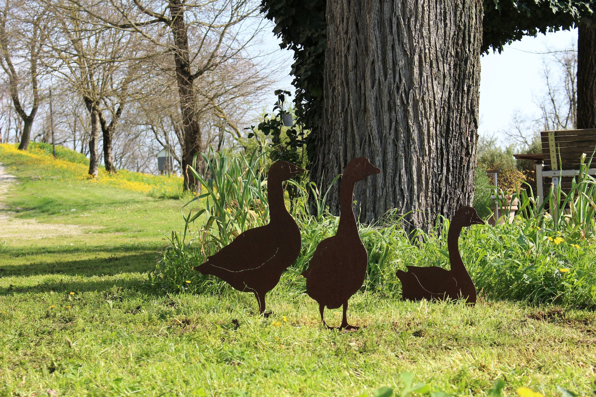 Rocca Pendice-Ambiente