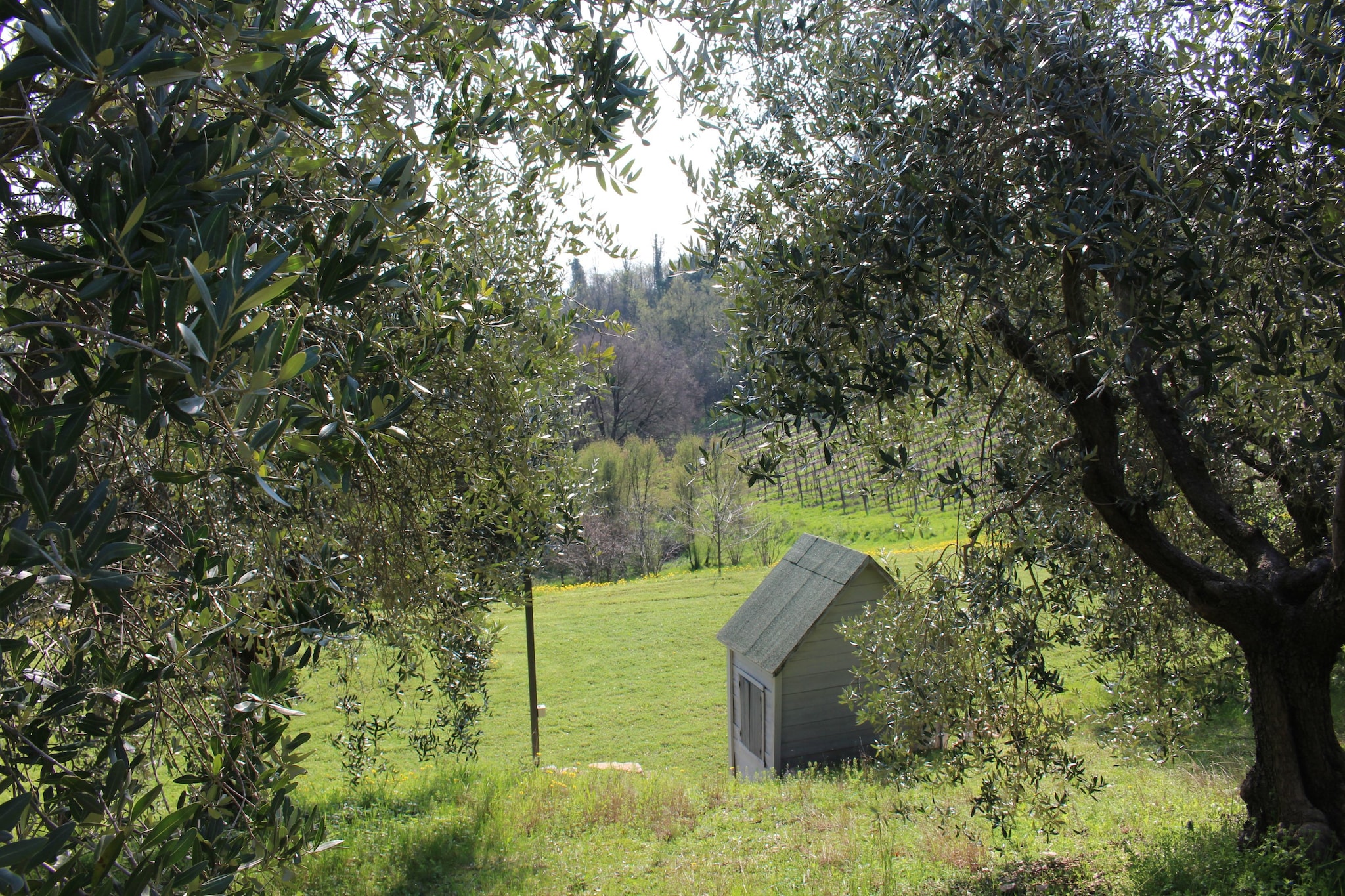 Monte Matello-Gärten Sommer