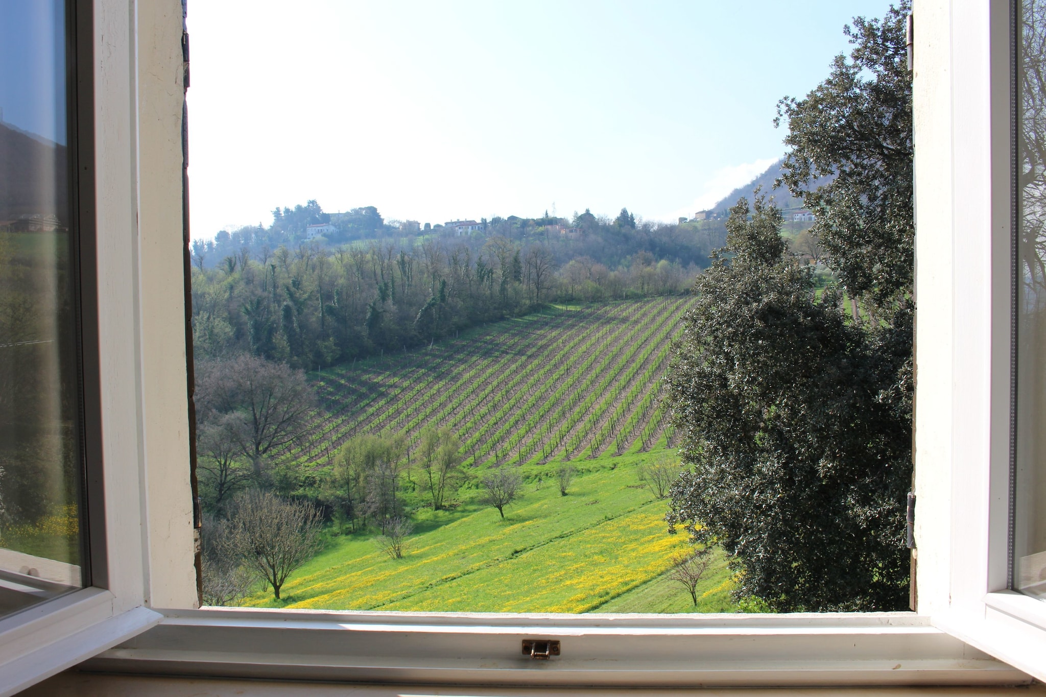 Monte Matello-Aussicht Sommer
