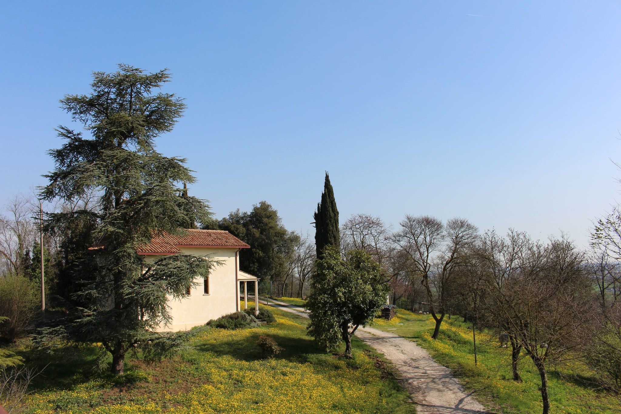 Monte Grande