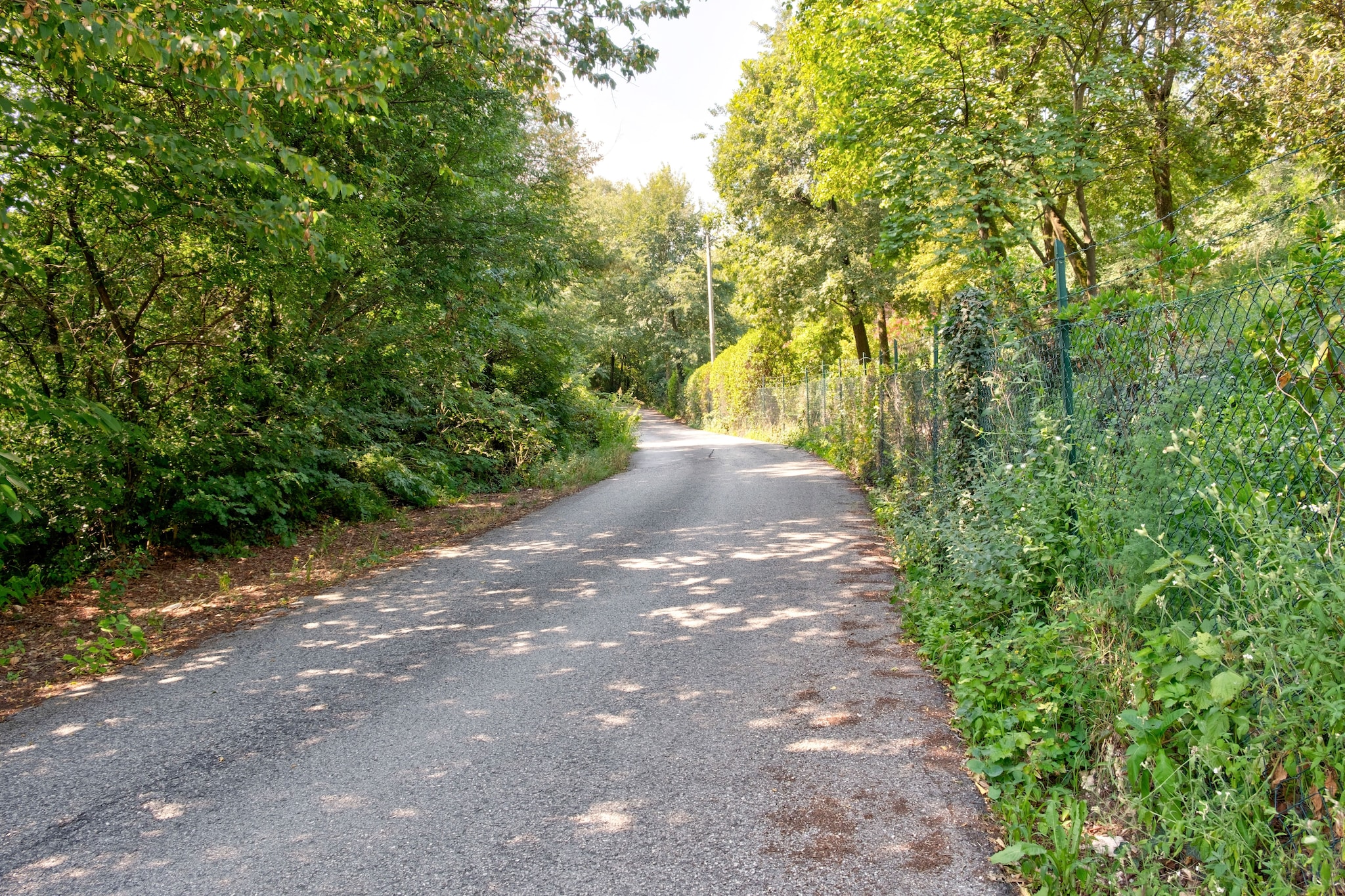 Monte Grande-Gebiete Sommer 1 km