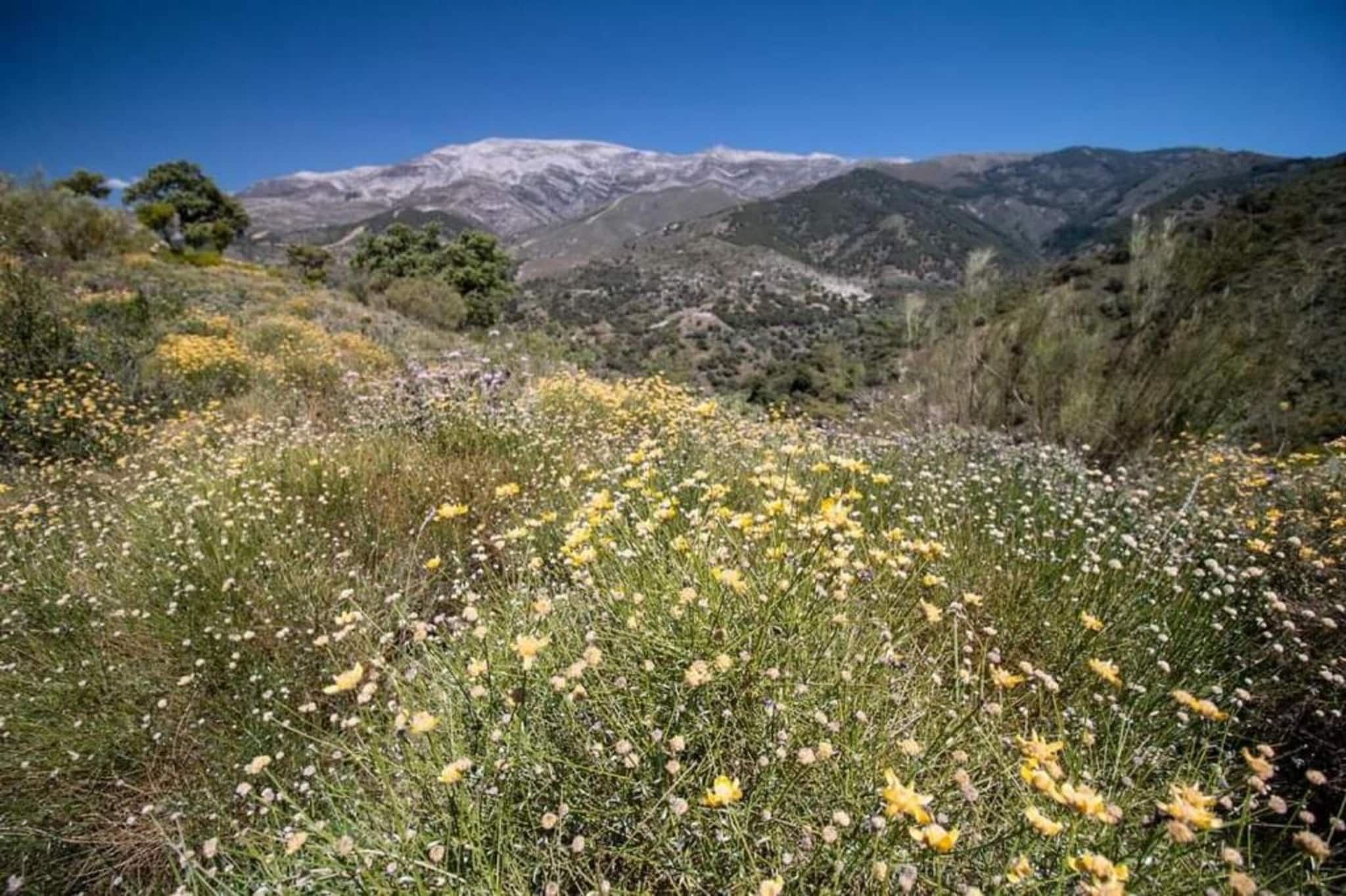 Cortijo las Monjas-Gebiete Sommer 20 km