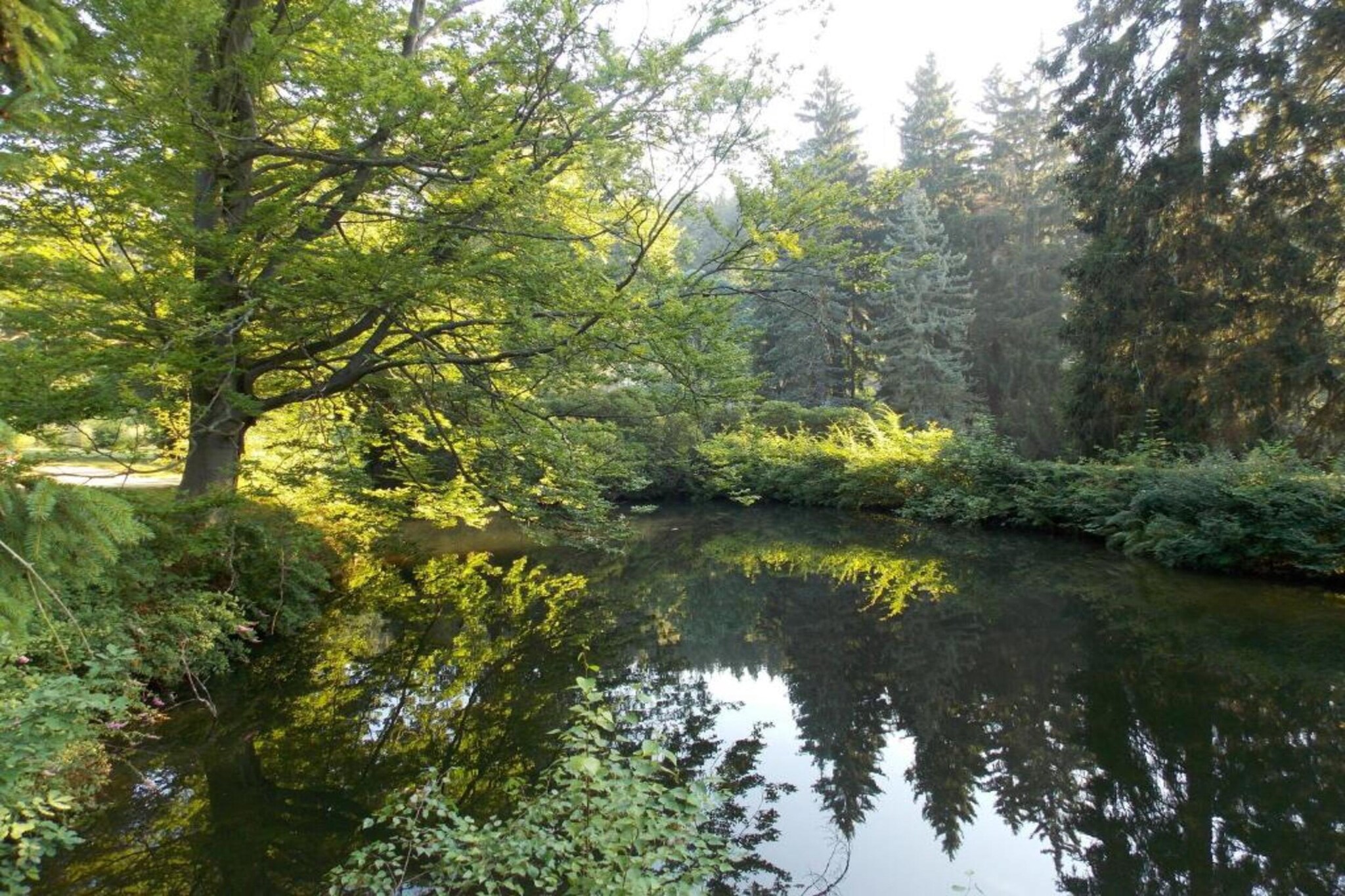 Bad Elster-Gebieden zomer 20km