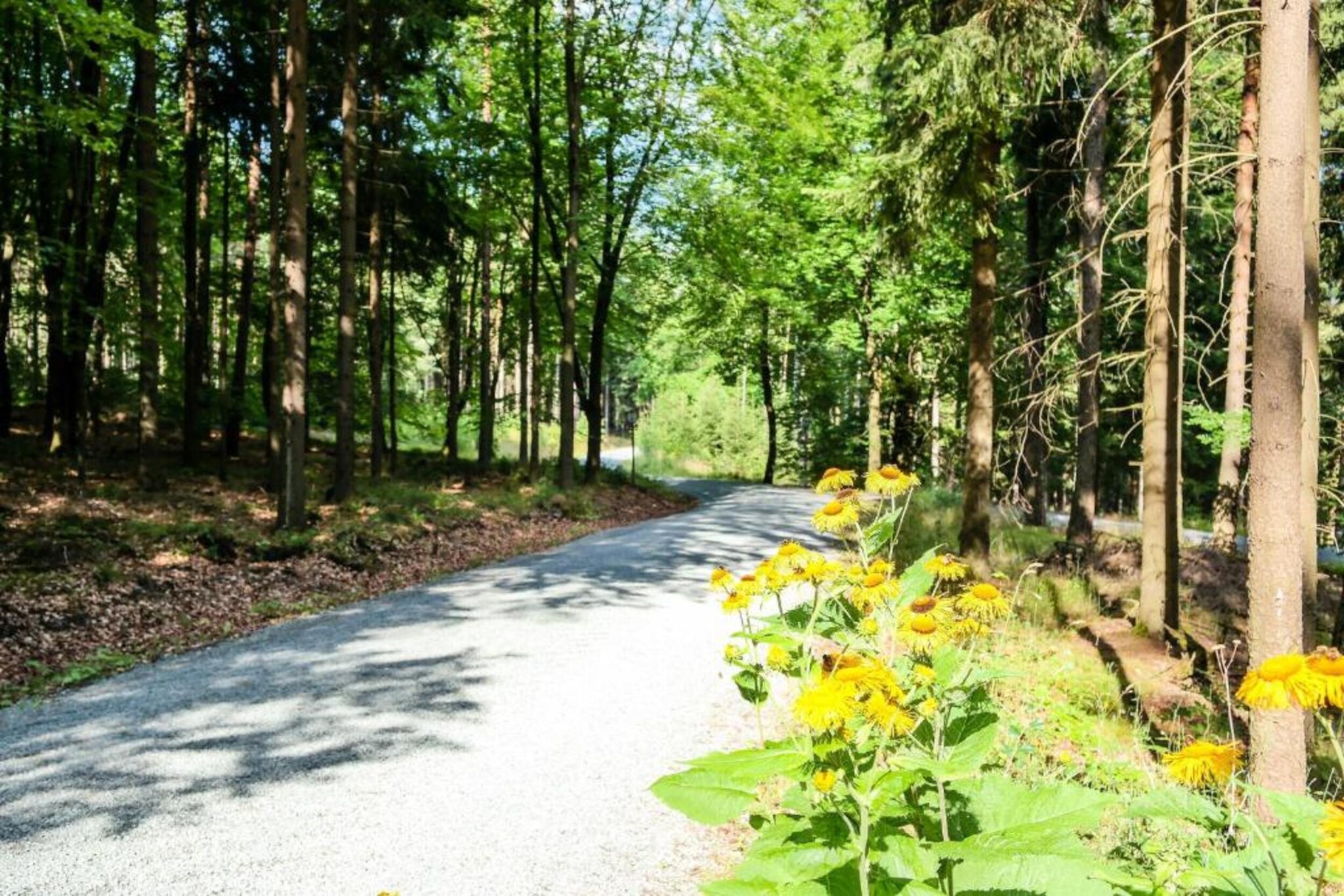 Bad Elster-Gebieden zomer 20km