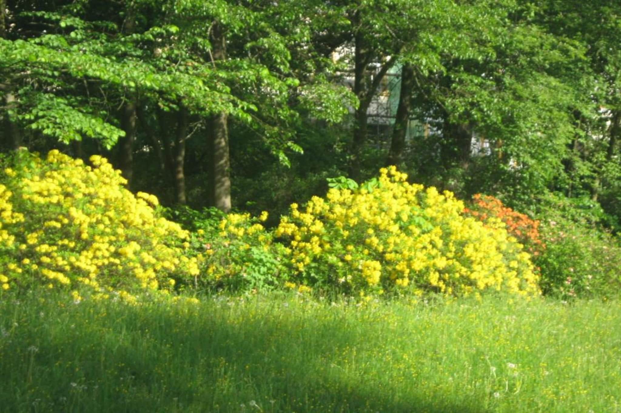Bad Elster-Gebieden zomer 20km