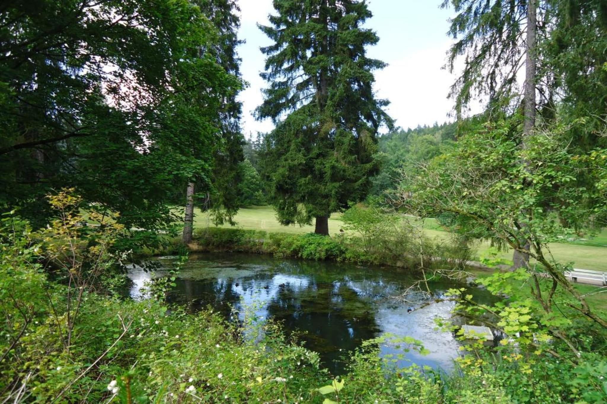 Bad Elster-Gebieden zomer 20km