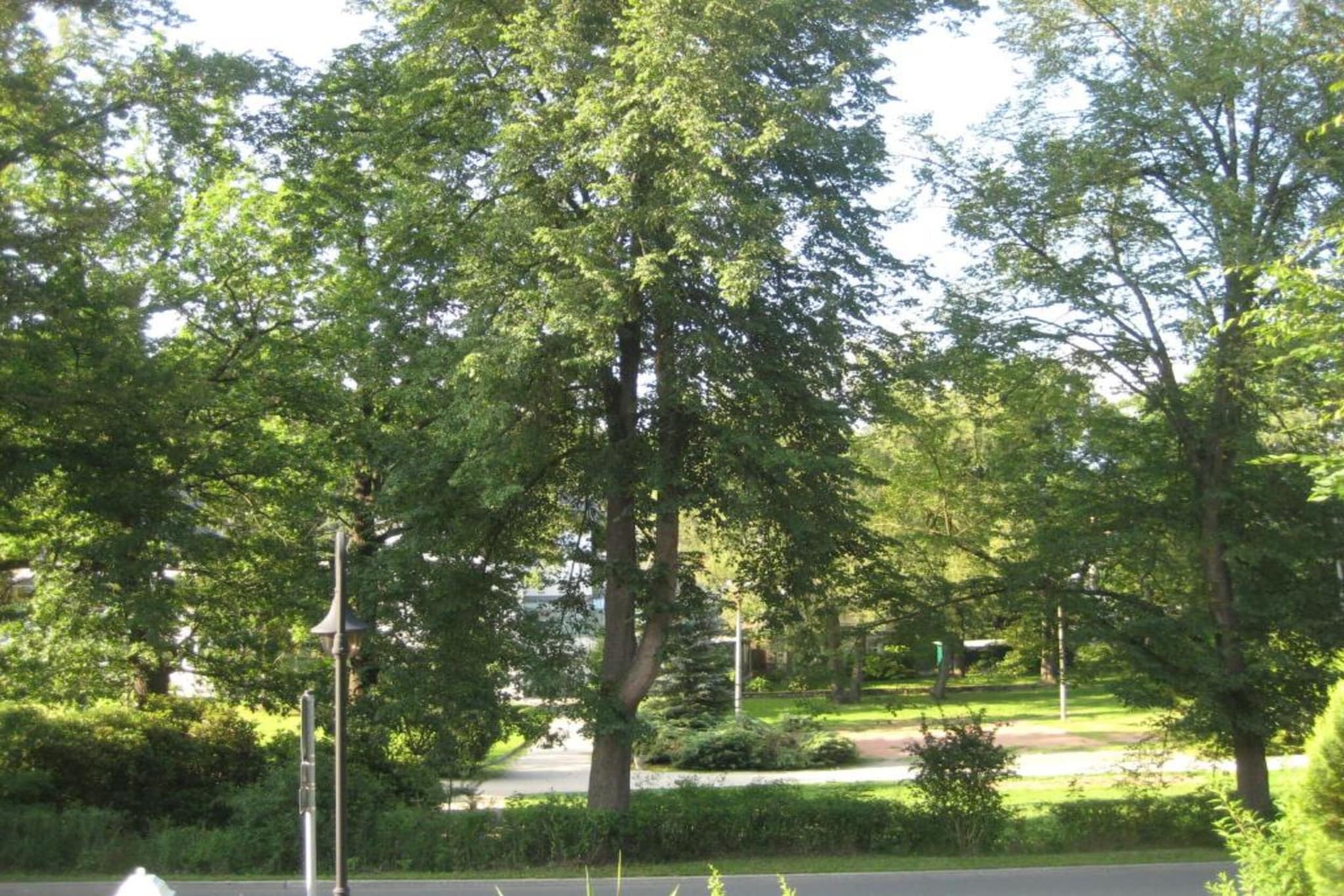 Bad Elster-Gebieden zomer 20km