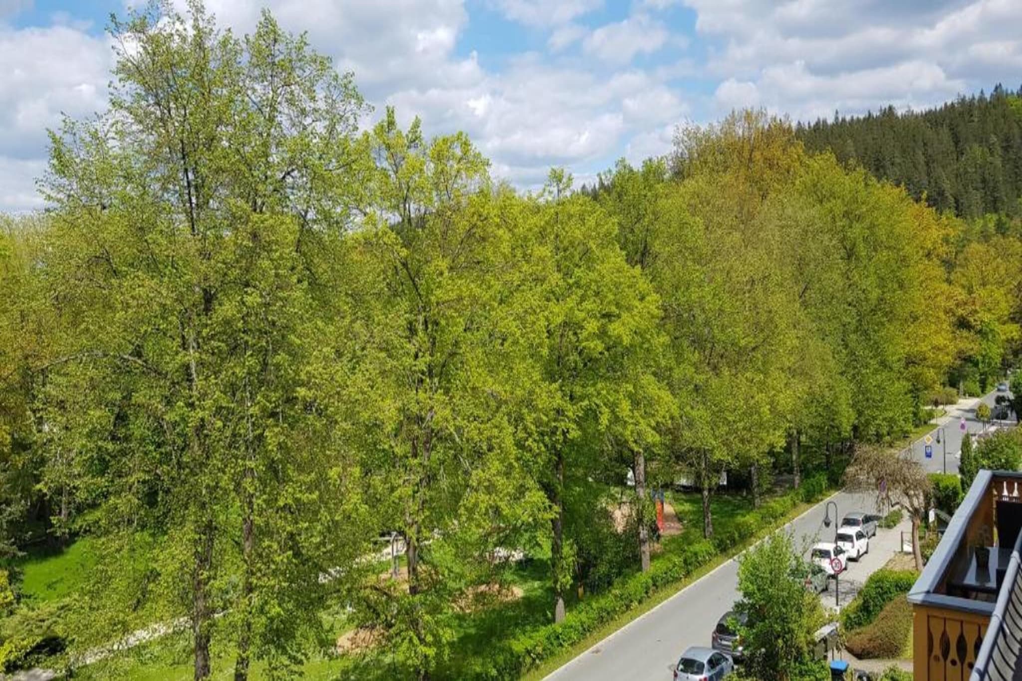 Bad Elster-Gebieden zomer 20km