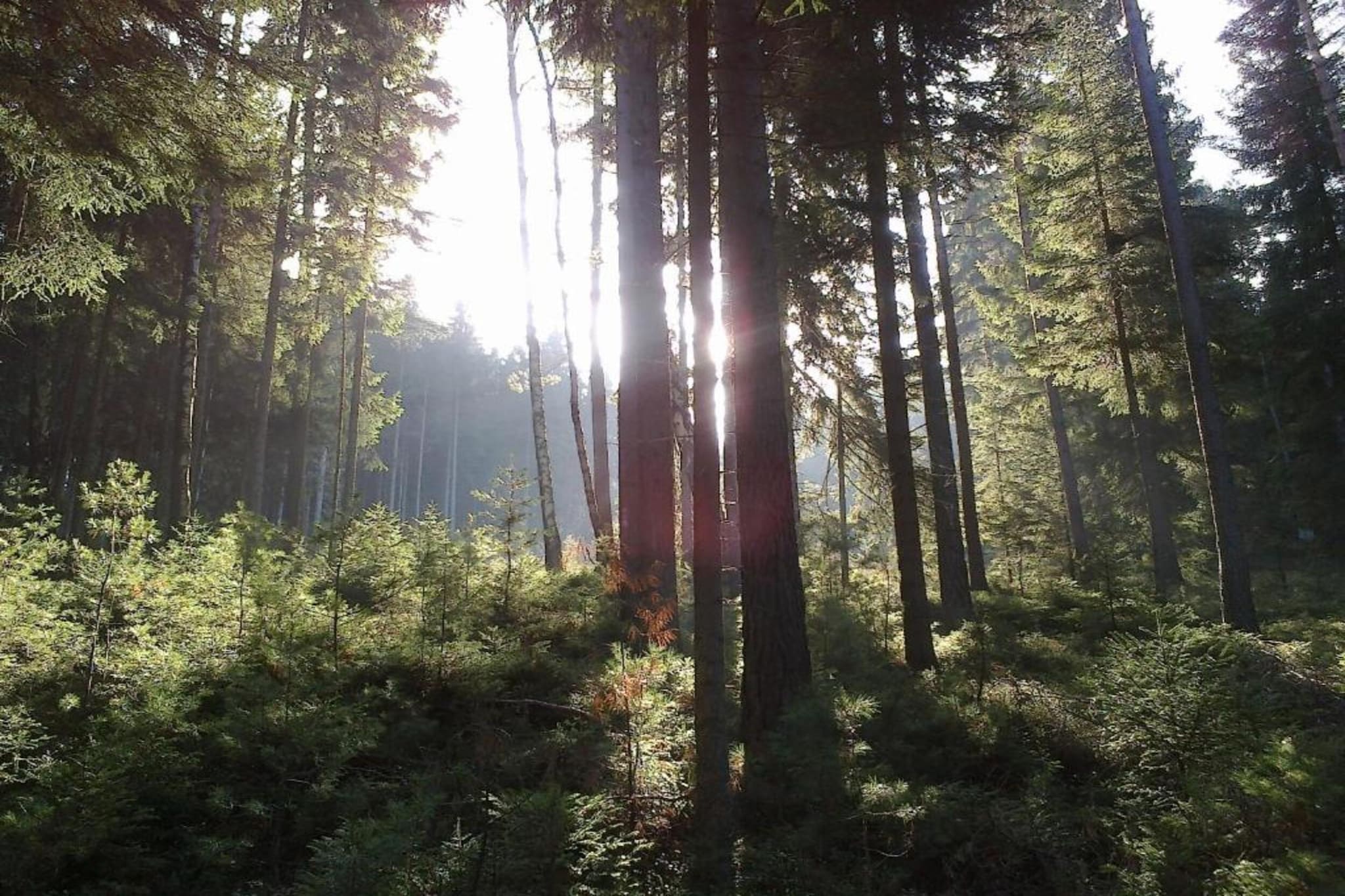 Ferienhaus Sonnenland-Zones d'été à 20 km