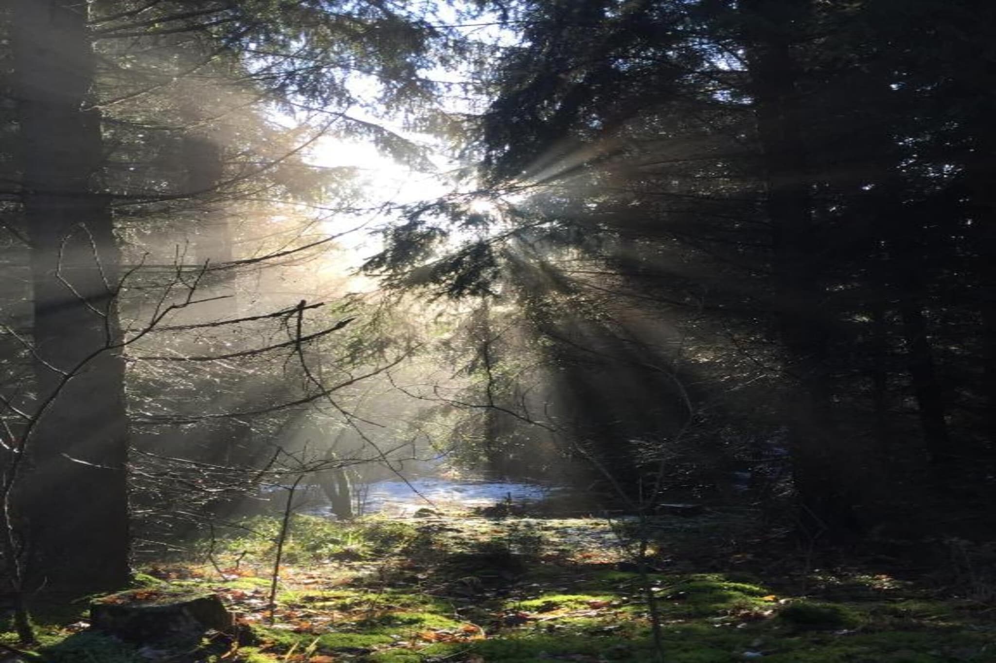 Holzhaus Andi-Gebieden zomer 20km