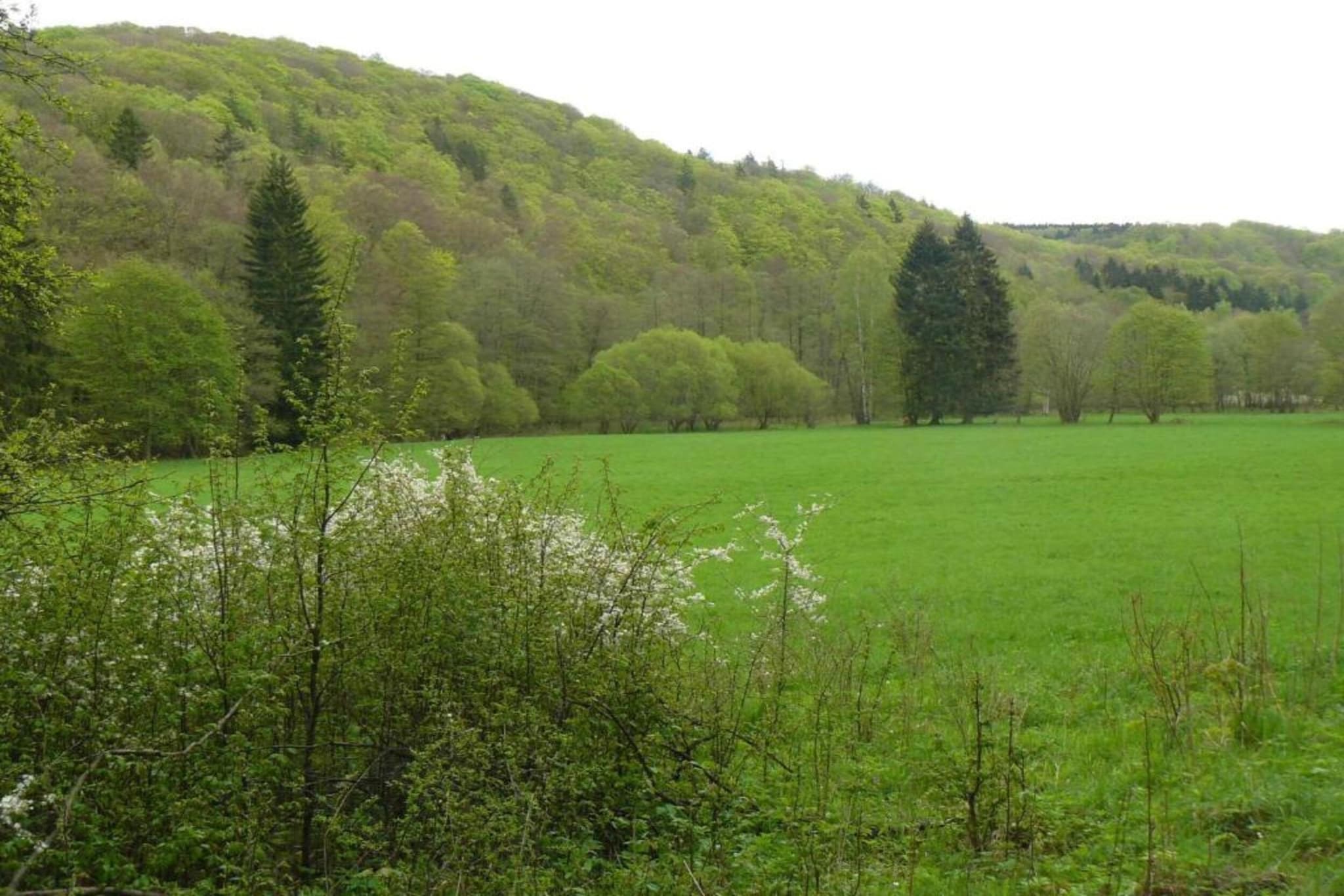Holzhaus Andi-Gebieden zomer 20km