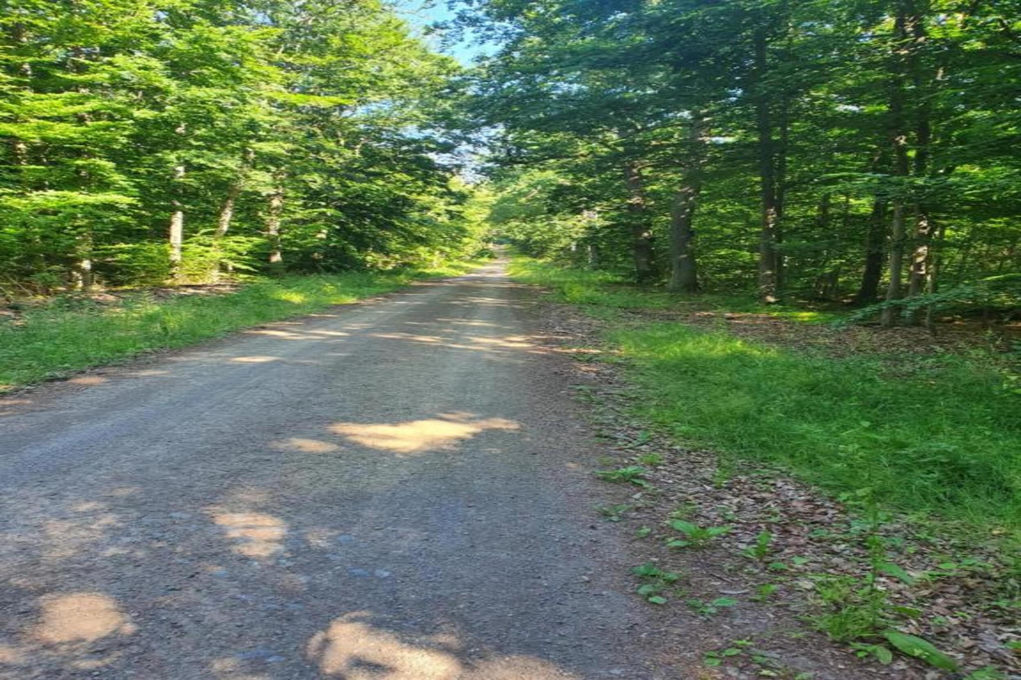 Holzhaus Andi-Gebieden zomer 20km