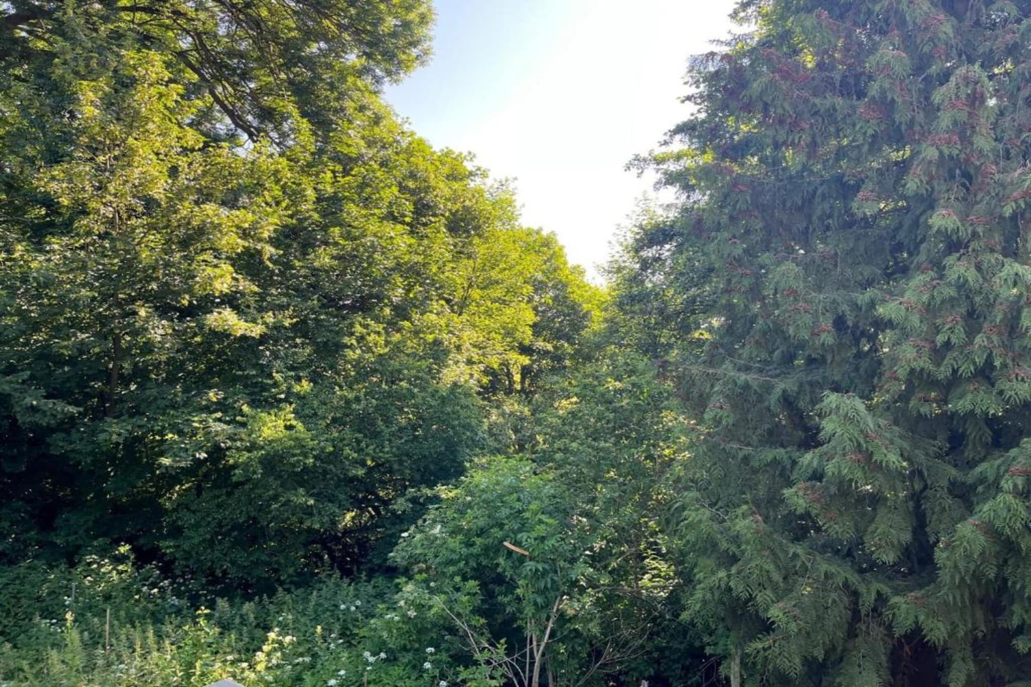 Holzhaus Andi-Gebieden zomer 20km