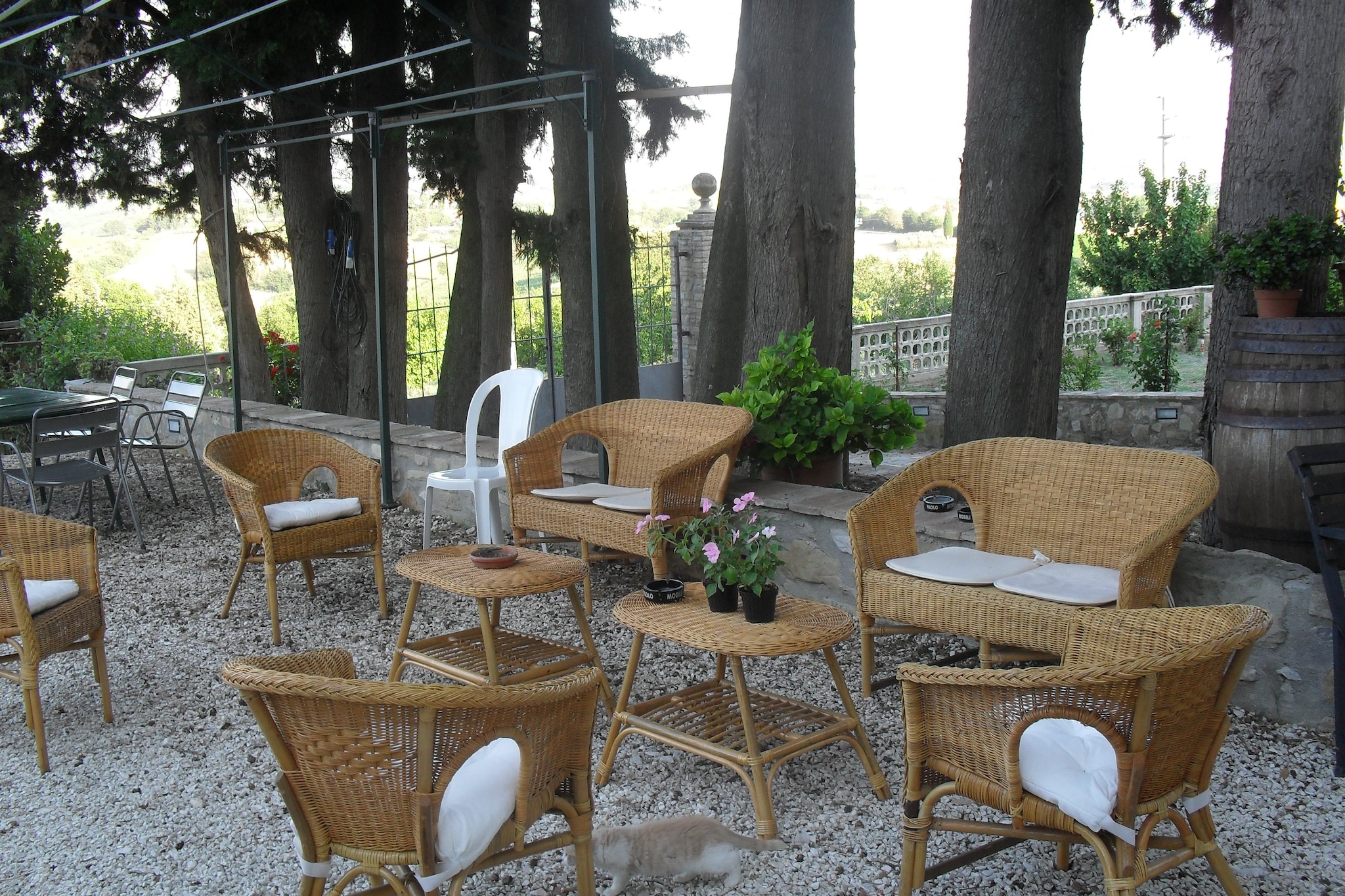 I Molinari-Terrace balcony