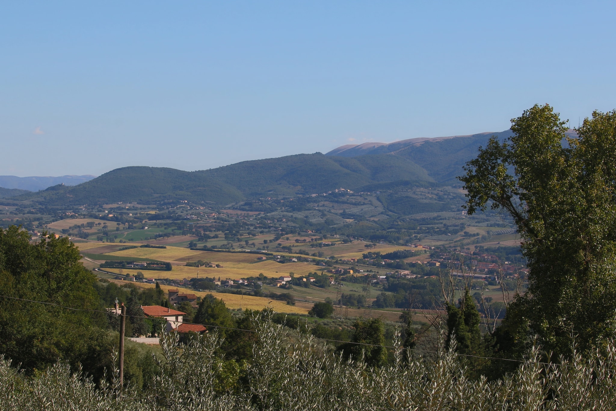 I Molinari-Areas summer 5km