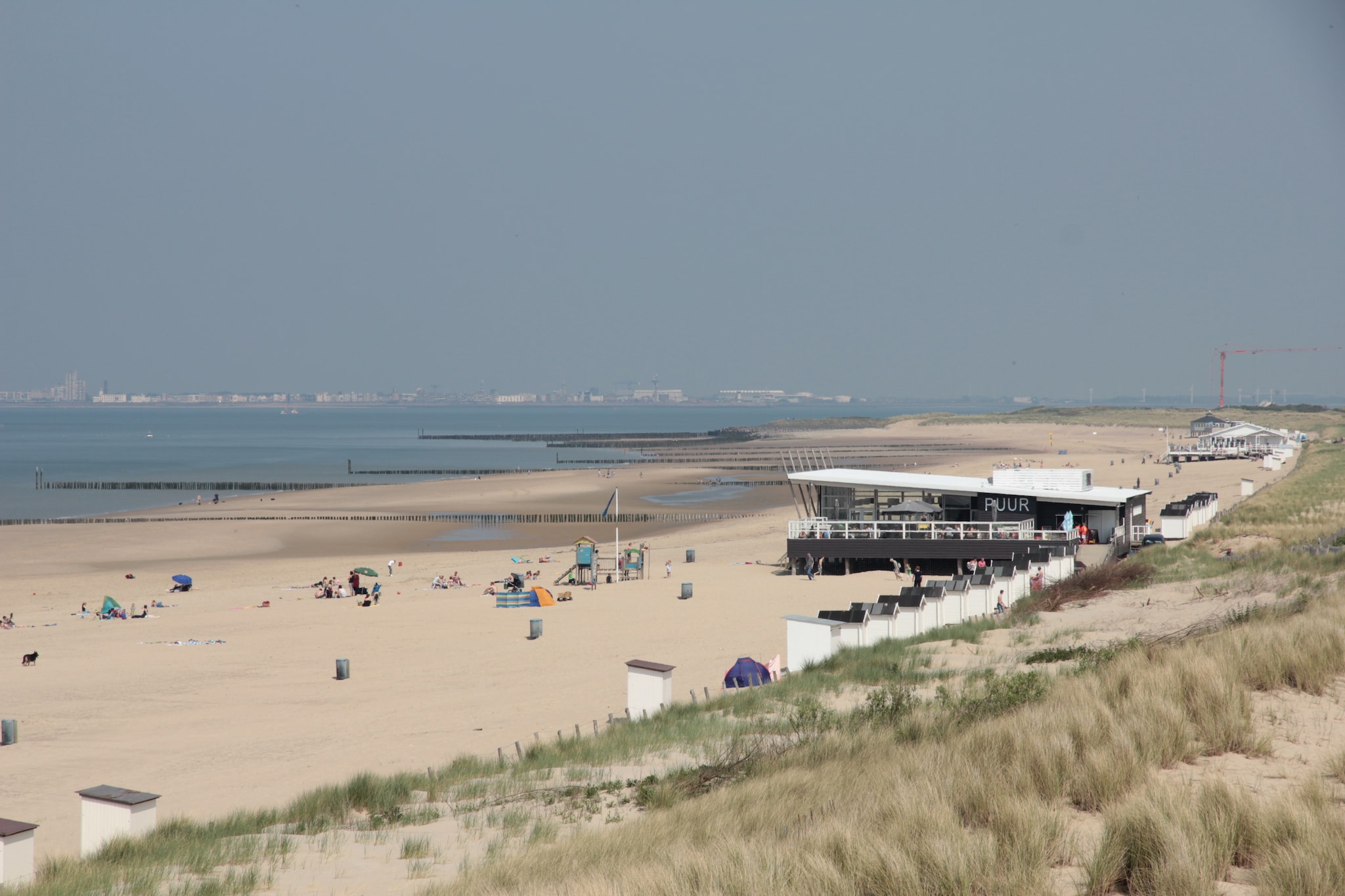 Het Platte Putje - Huisdiervrij - nr4-Gebieden zomer 5km