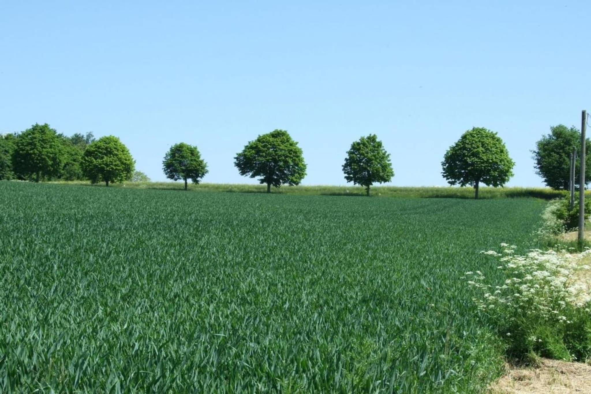 Kaifenheimer Mühle 2-Gebieden zomer 20km