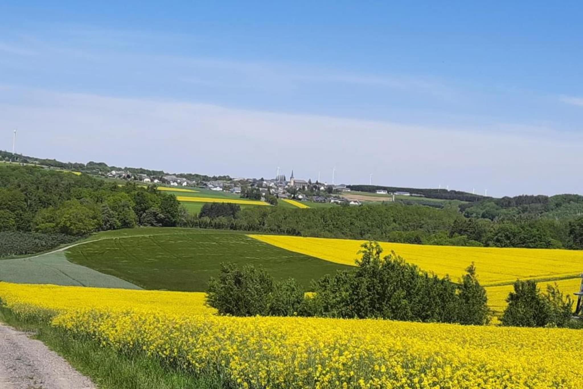 Kaifenheimer Mühle 2-Gebieden zomer 20km