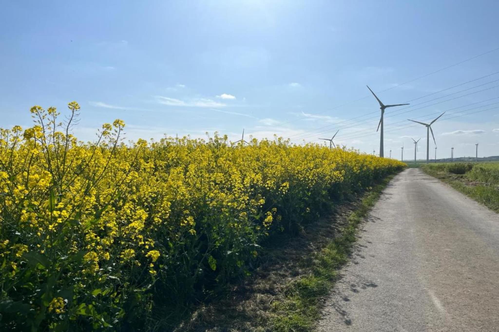 Kaifenheimer Mühle 2-Gebieden zomer 20km