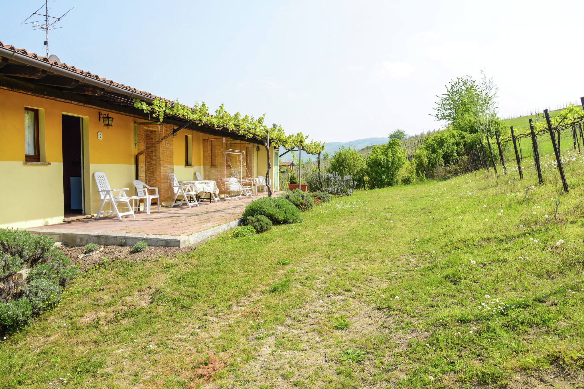 Nice and typical apartment in a farm surrounded by hills and vineyards.