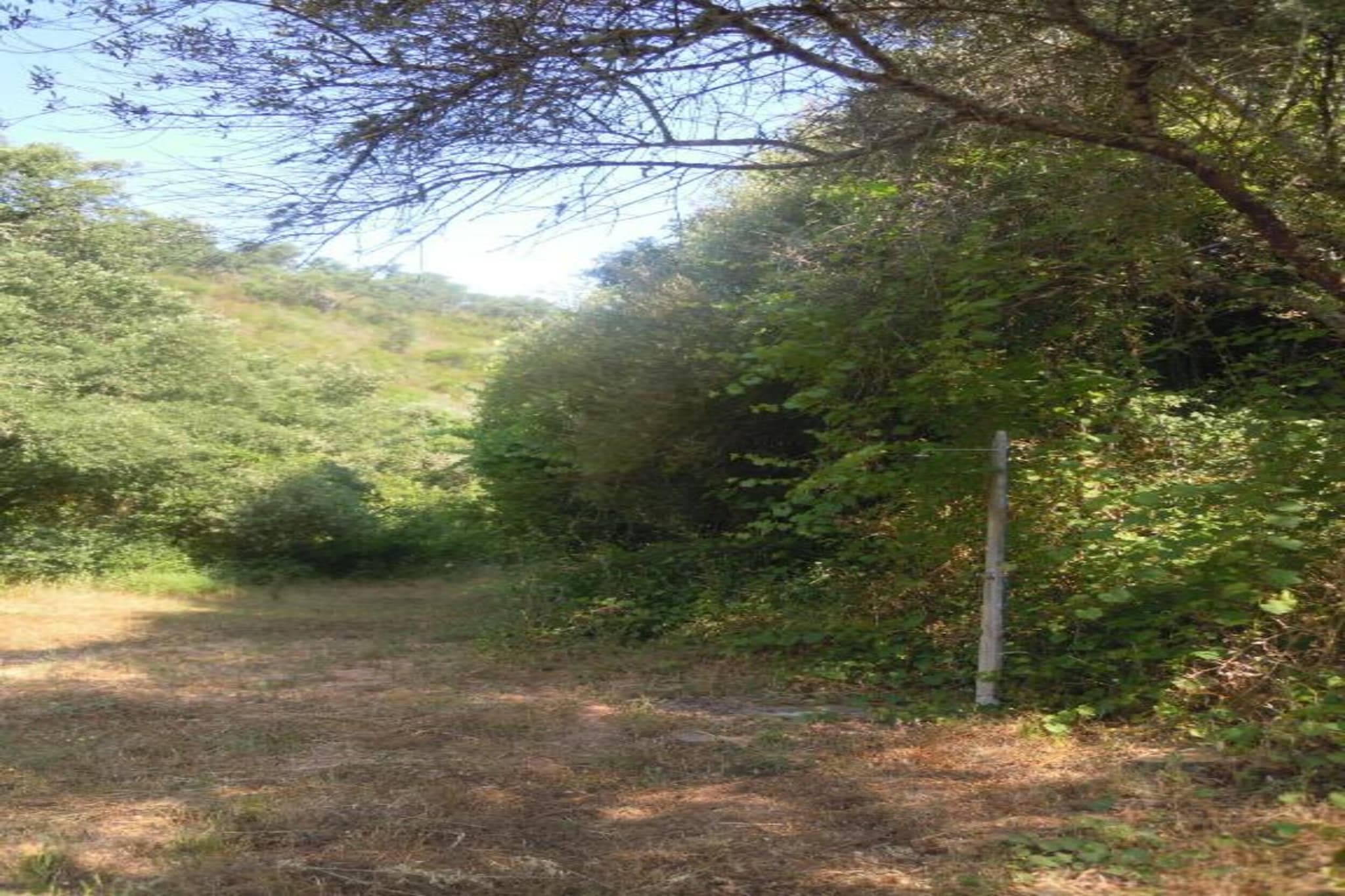 Casa da Adega-Gebieden zomer 20km