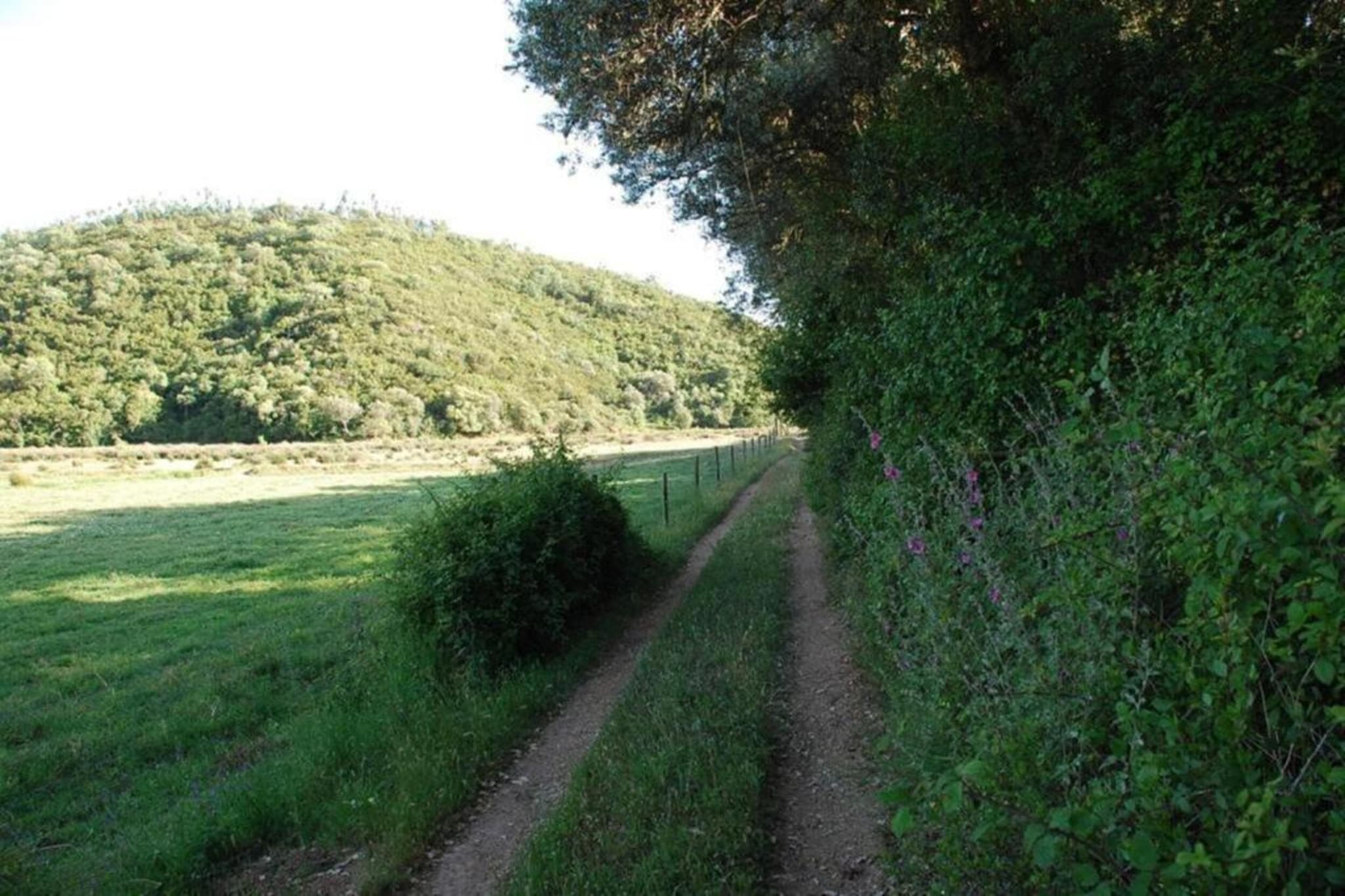 Casa da Adega-Gebieden zomer 20km