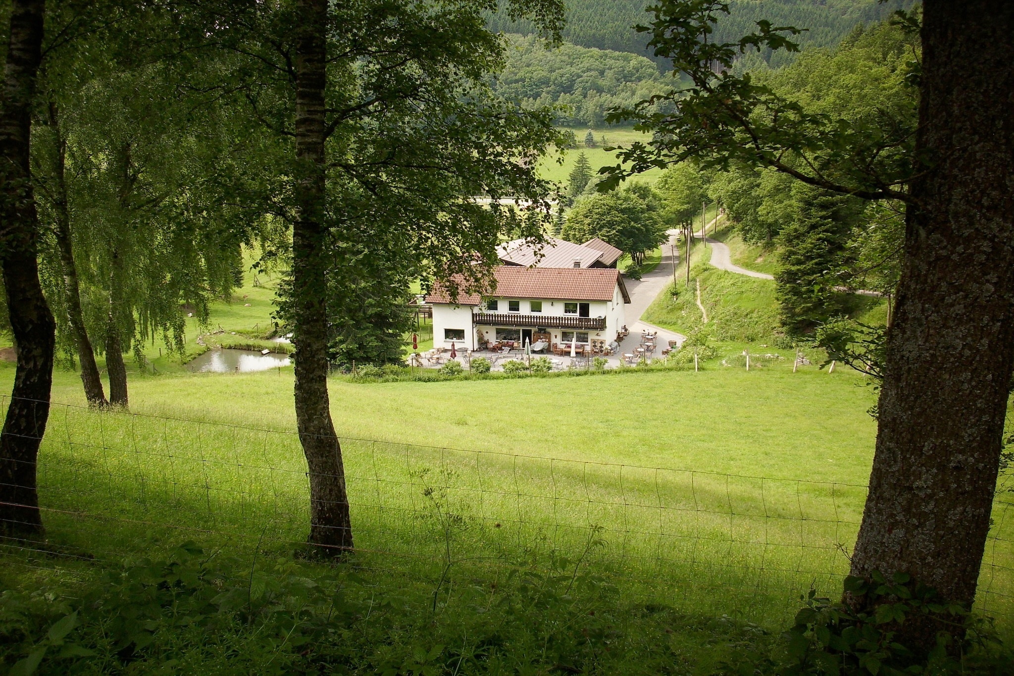 Am Damwildgehege - Gebieden zomer 1km
