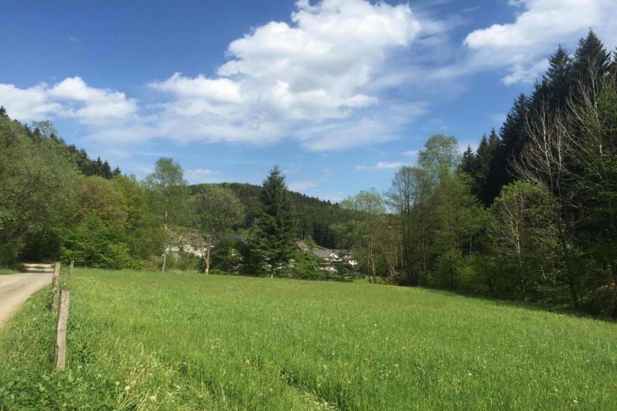 Am Damwildgehege-Gebiete Sommer 20 km