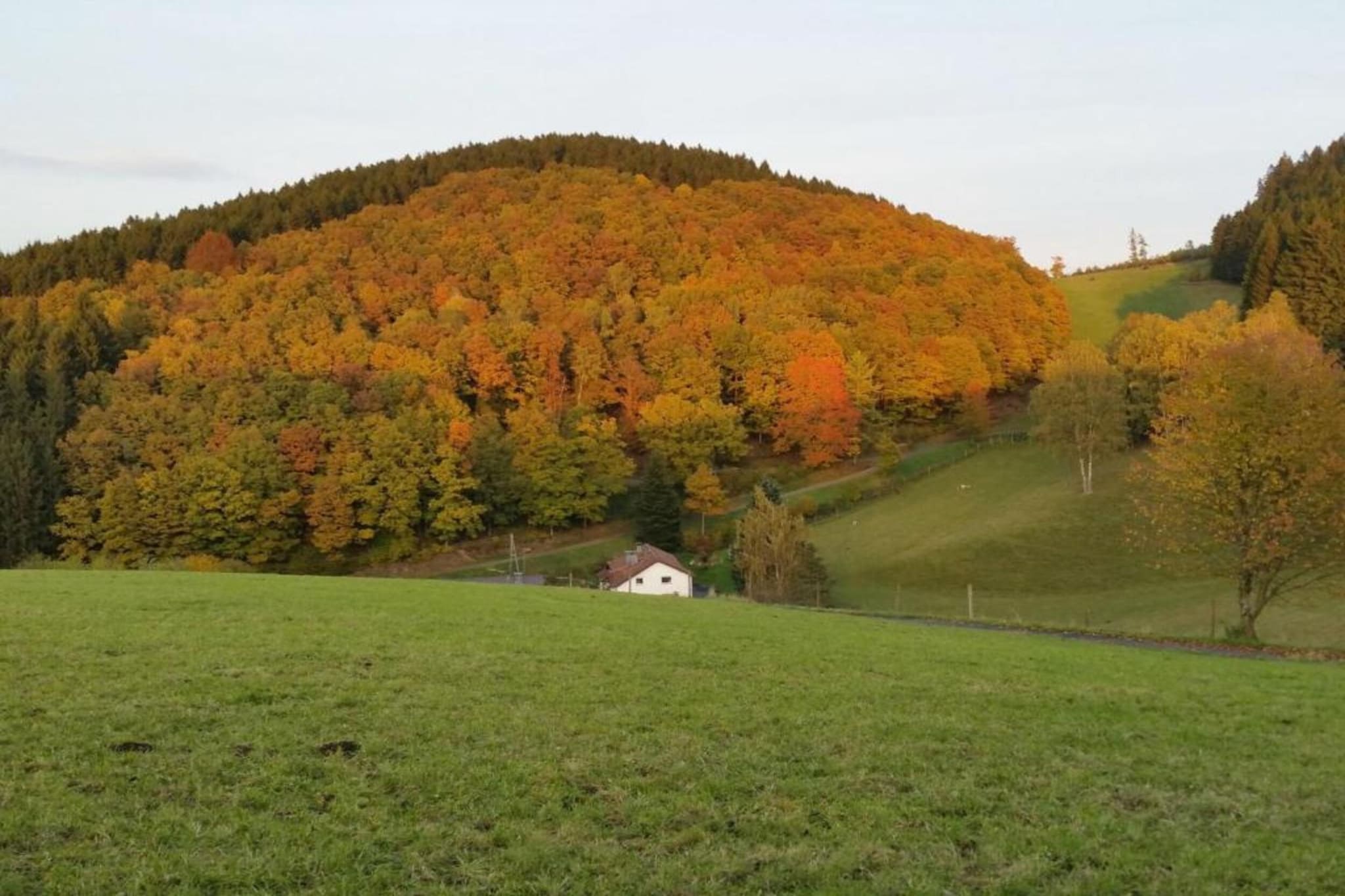 Am Damwildgehege-Gebiete Sommer 20 km