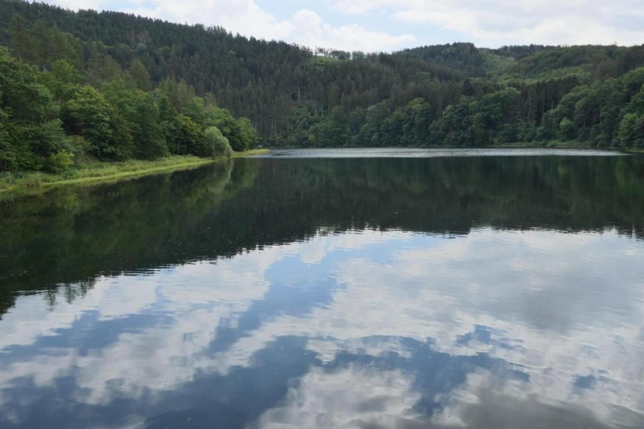 Am Damwildgehege-Gebiete Sommer 20 km