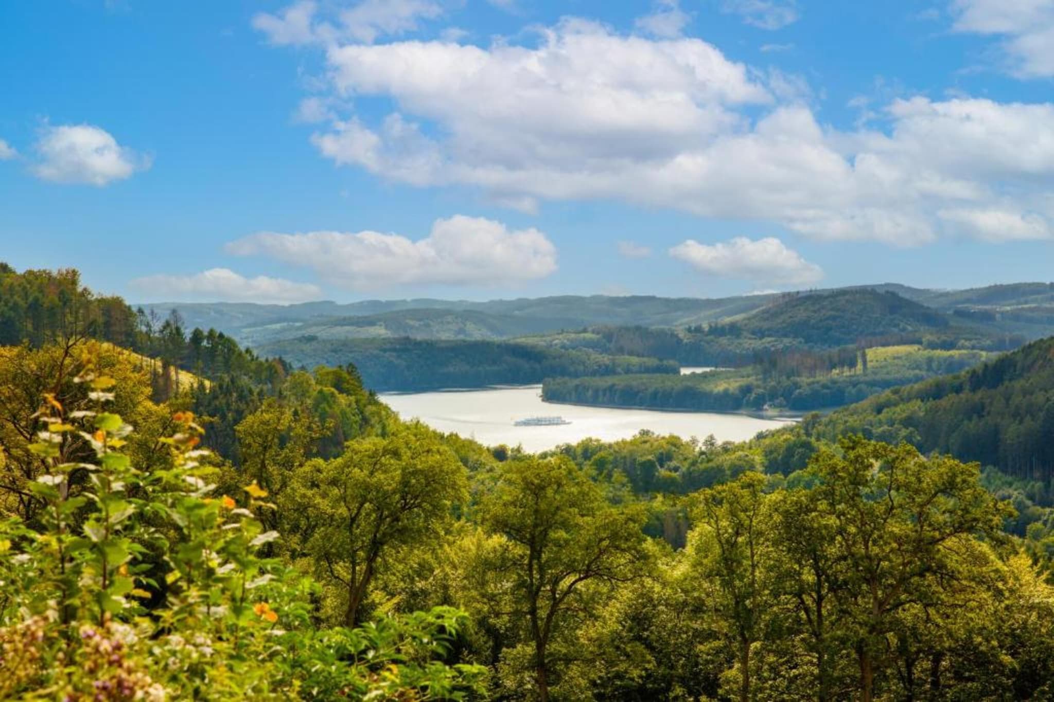 Am Damwildgehege-Gebiete Sommer 20 km