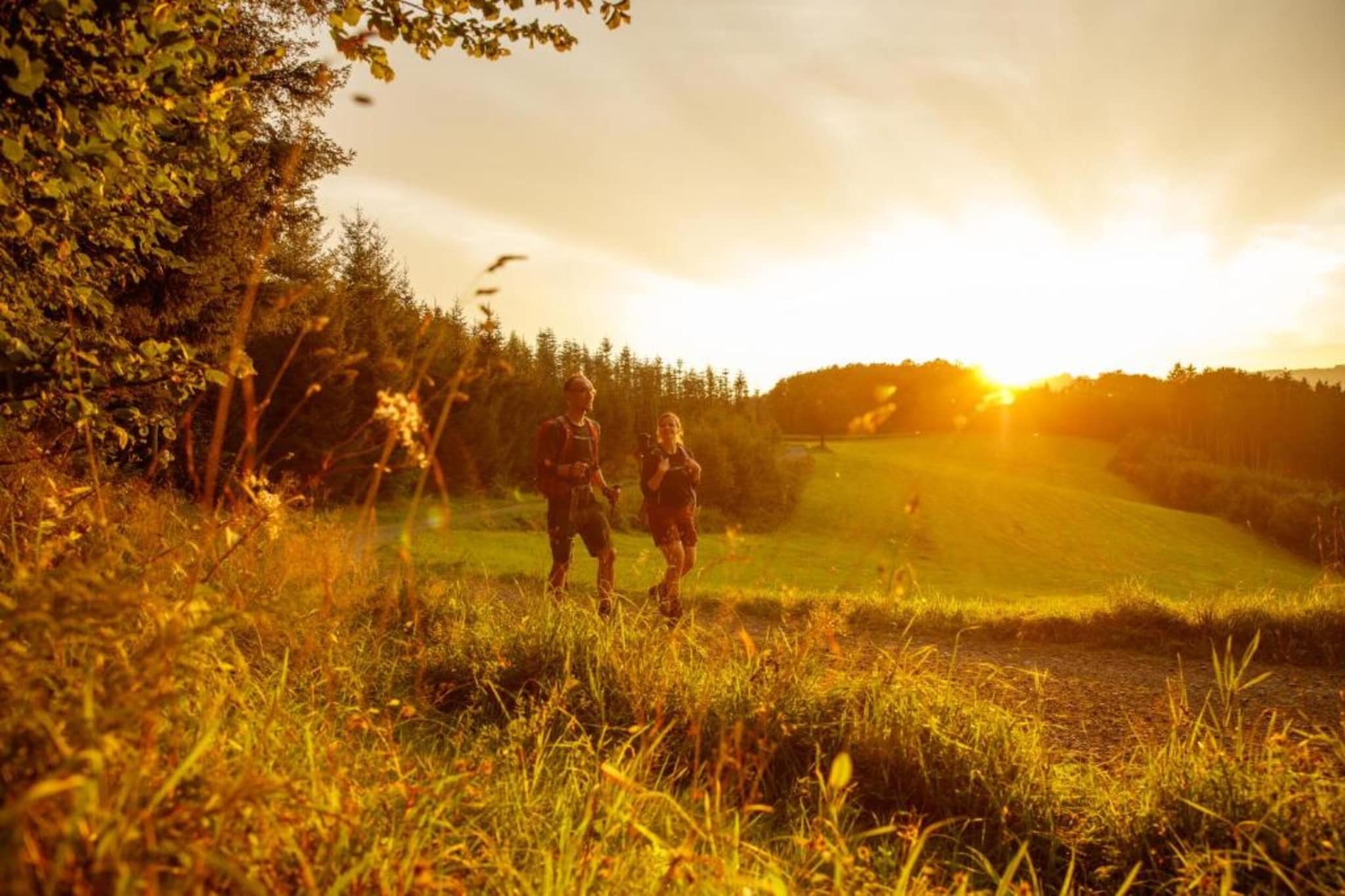 Am Damwildgehege-Gebiete Sommer 20 km