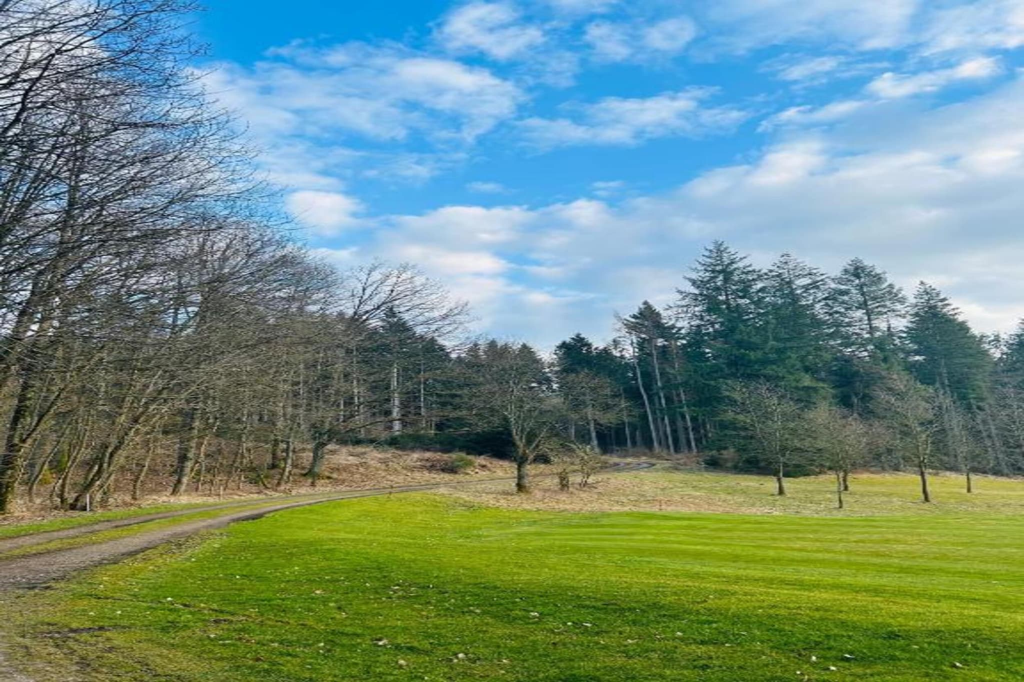 Am Damwildgehege-Gebiete Sommer 20 km