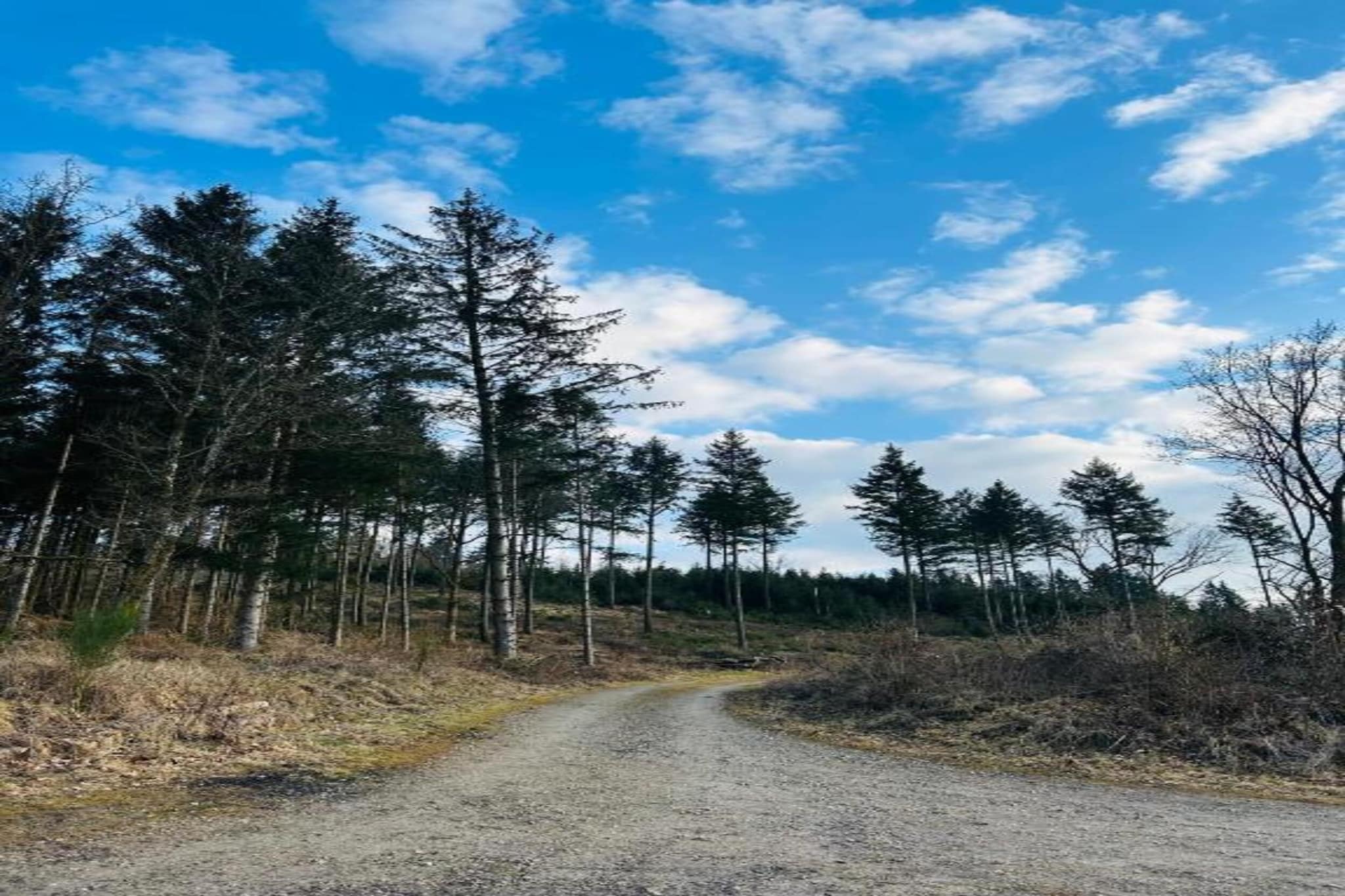 Am Damwildgehege-Gebiete Sommer 20 km