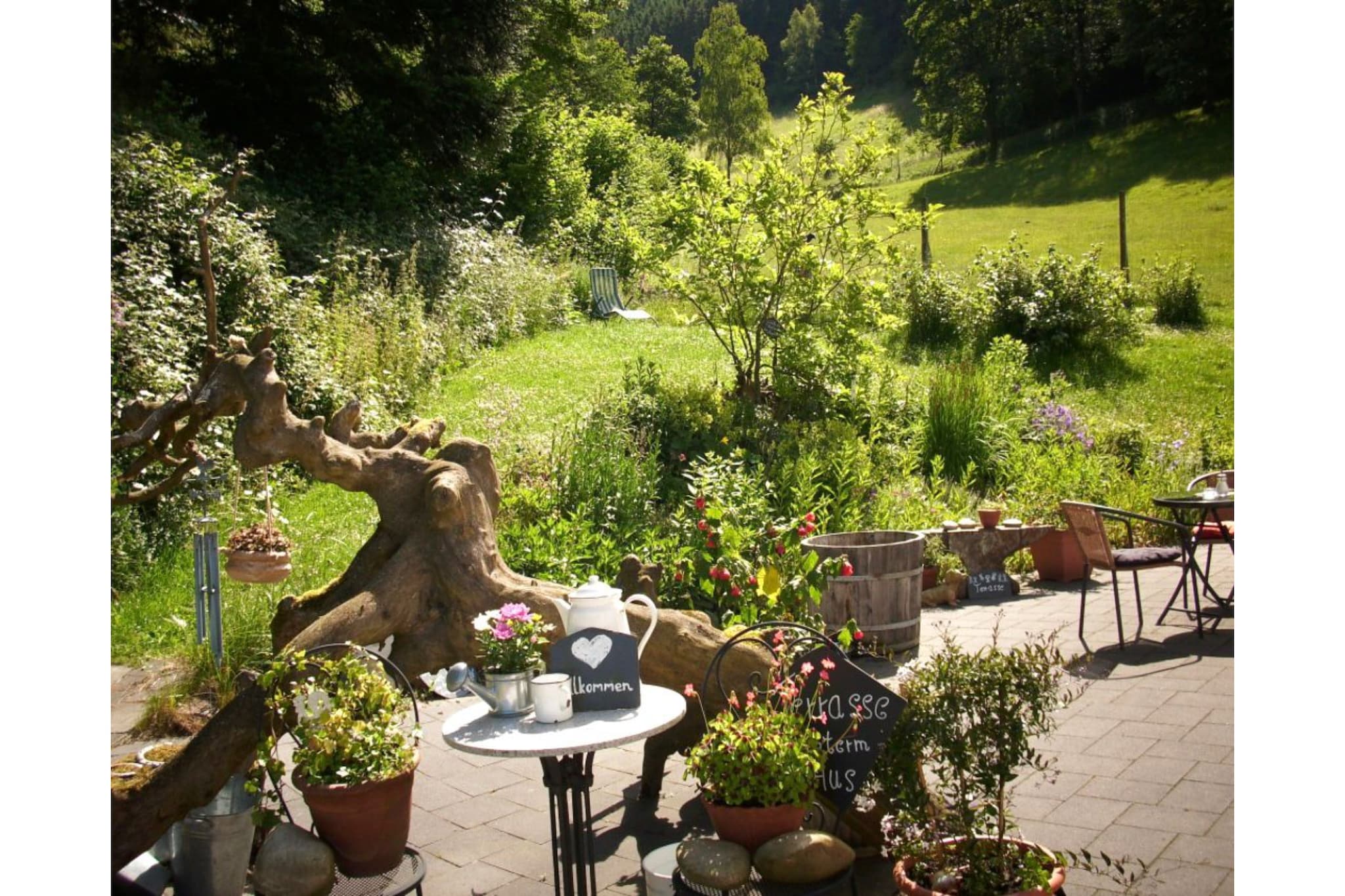 Am Damwildgehege - Tuinen zomer
