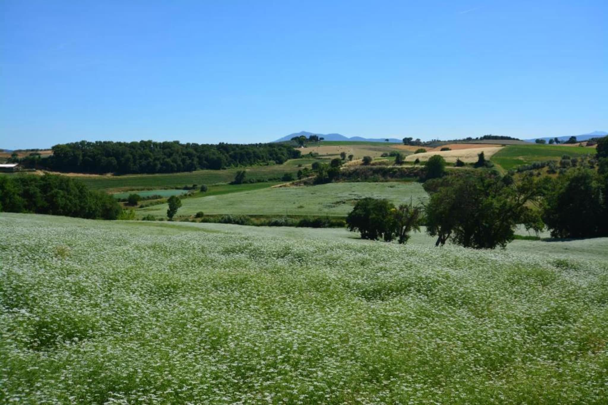 Fienile-Gebieden zomer 20km