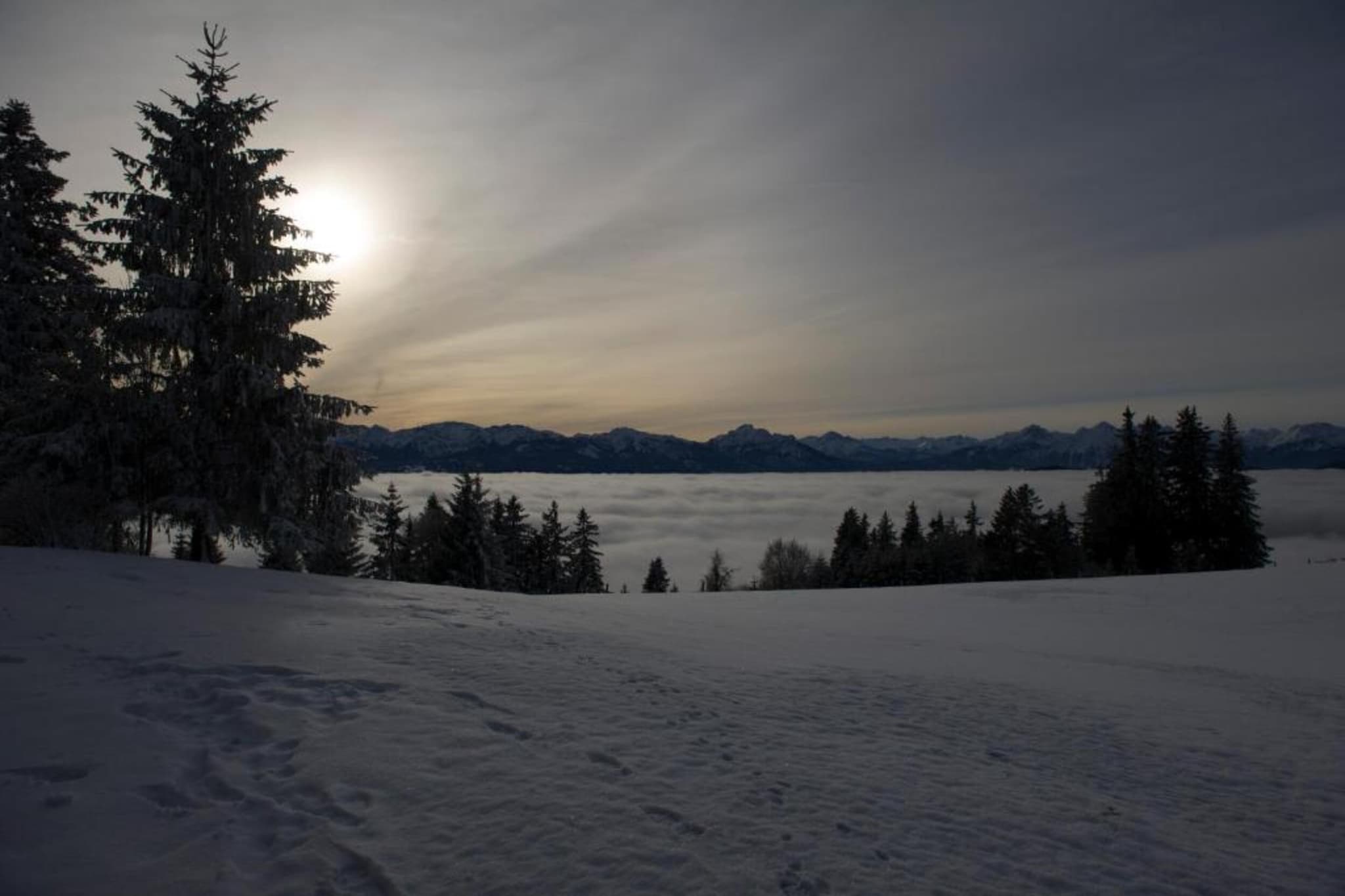 Am Berghof-Gebied winter 20km