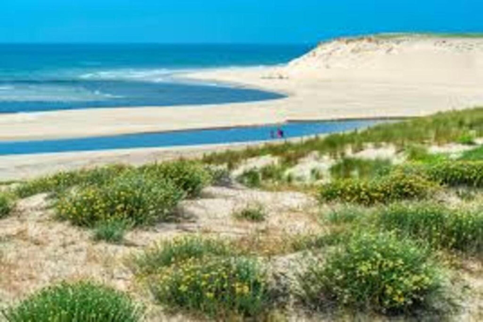 Les Appartements de Moliets 3-Gebieden zomer 20km